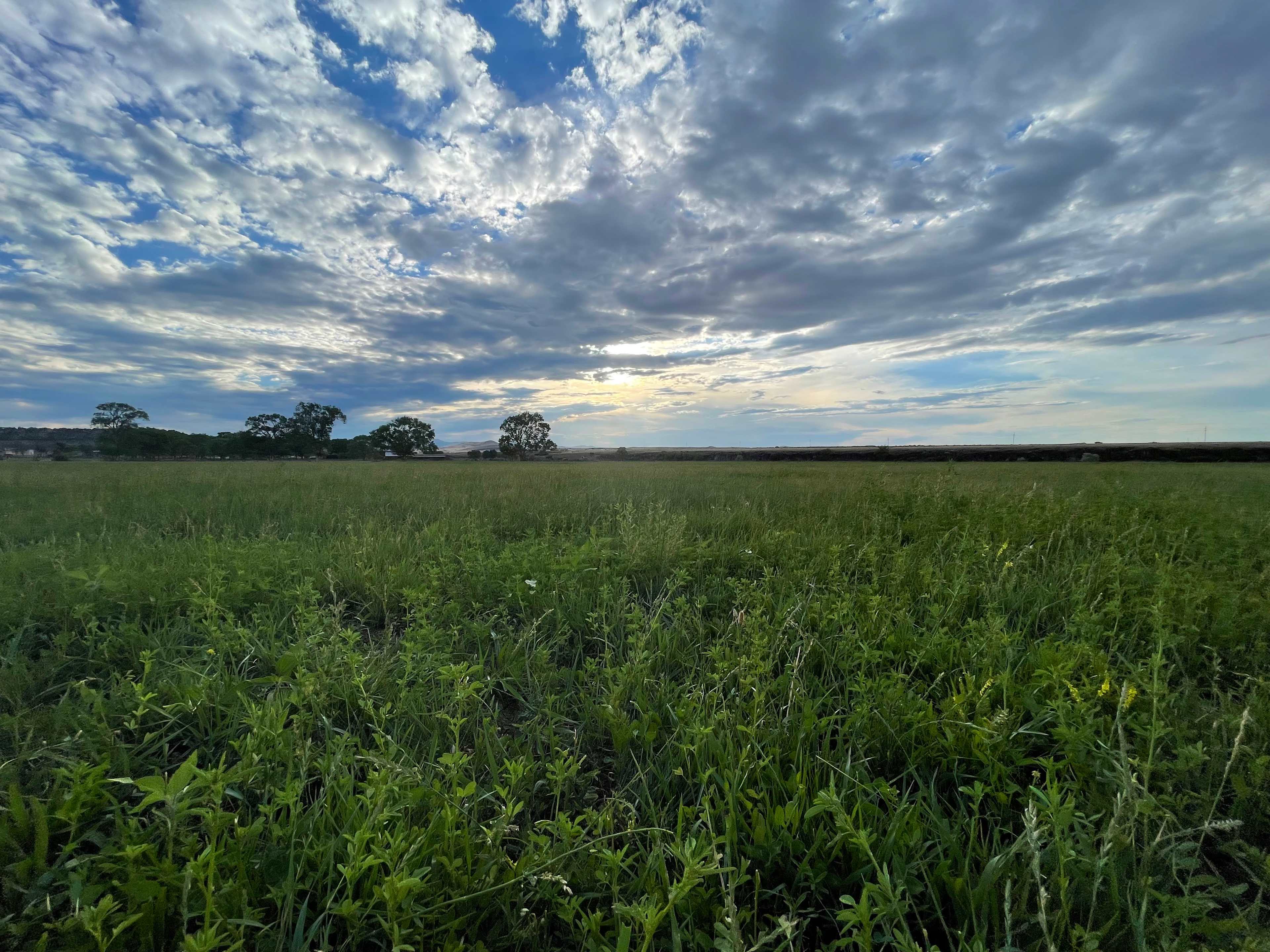 Creekside Farm