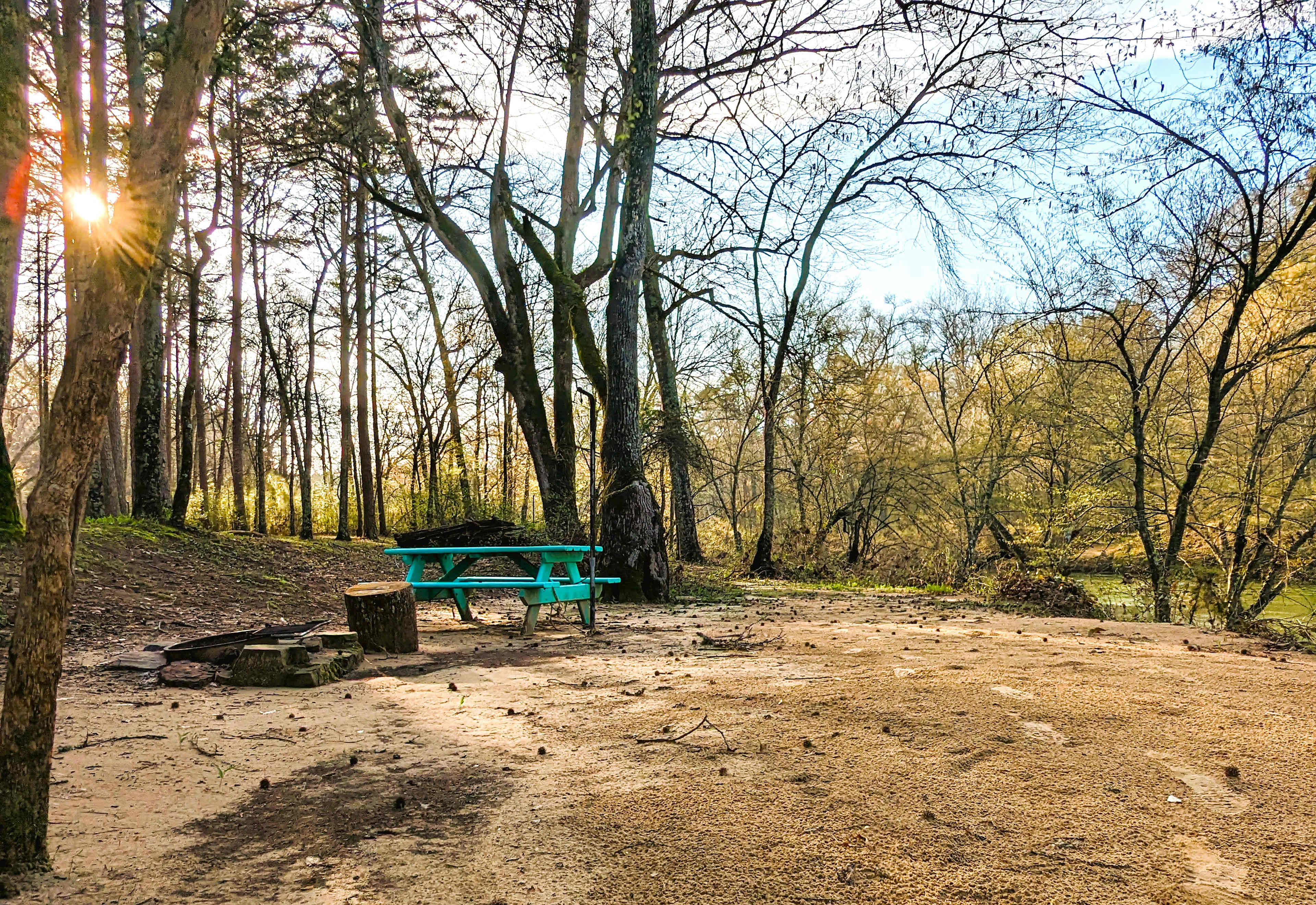 Picture of the site