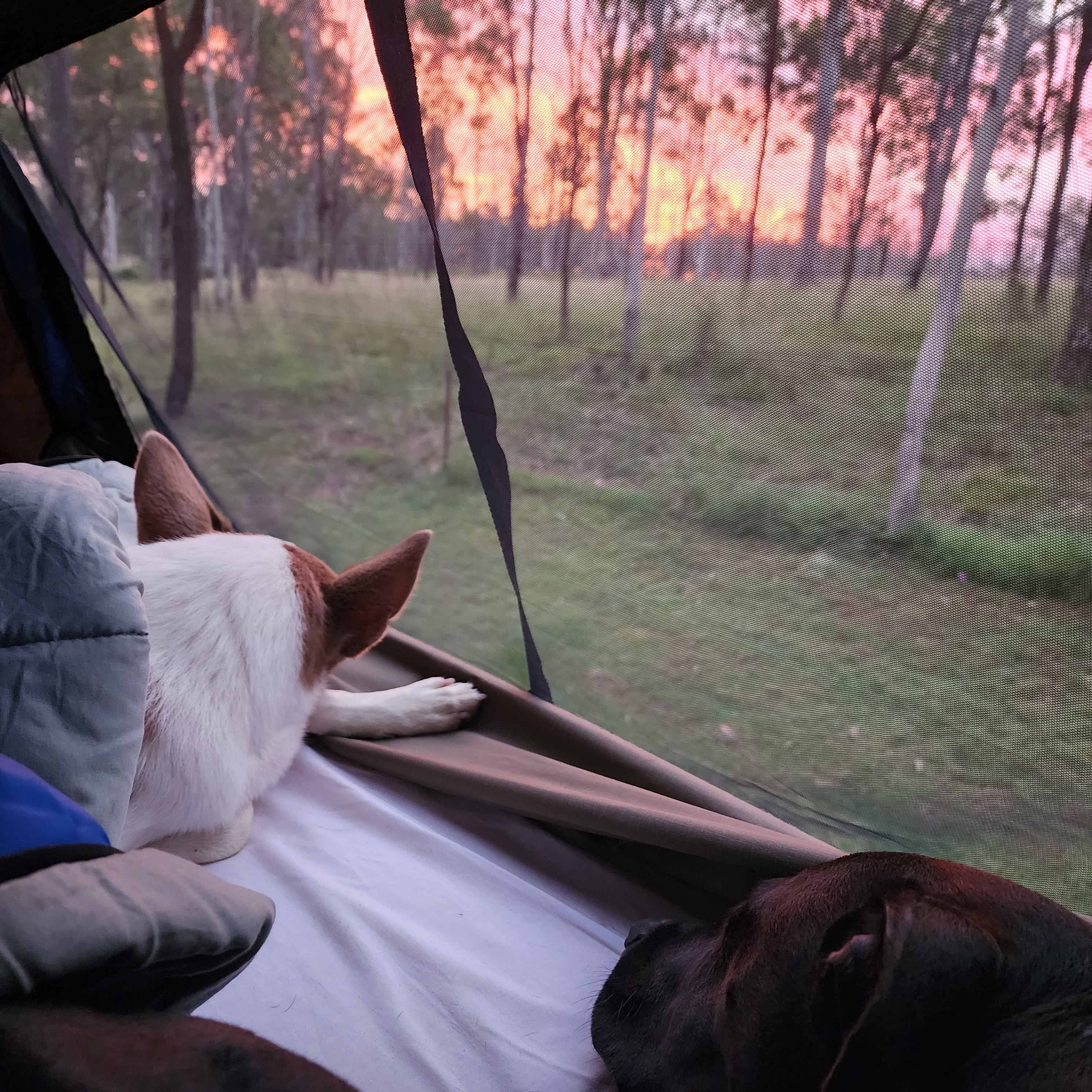 Sandy Creek Camping