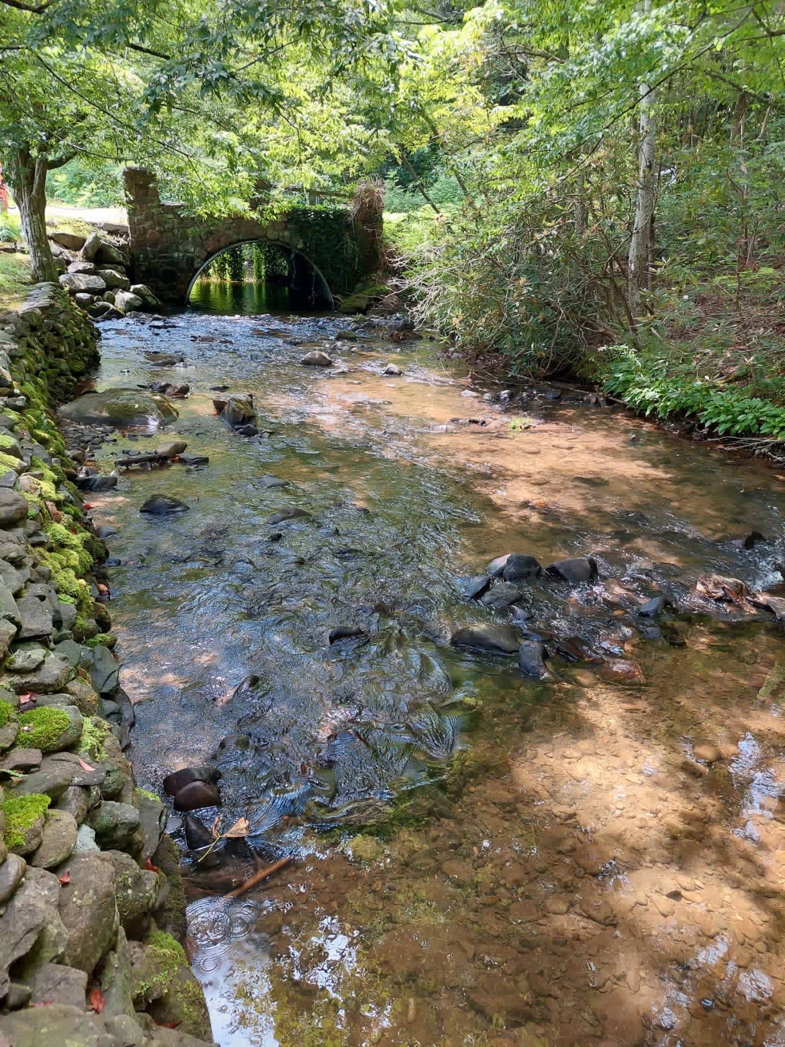 Creekfront Livin' the Smokies