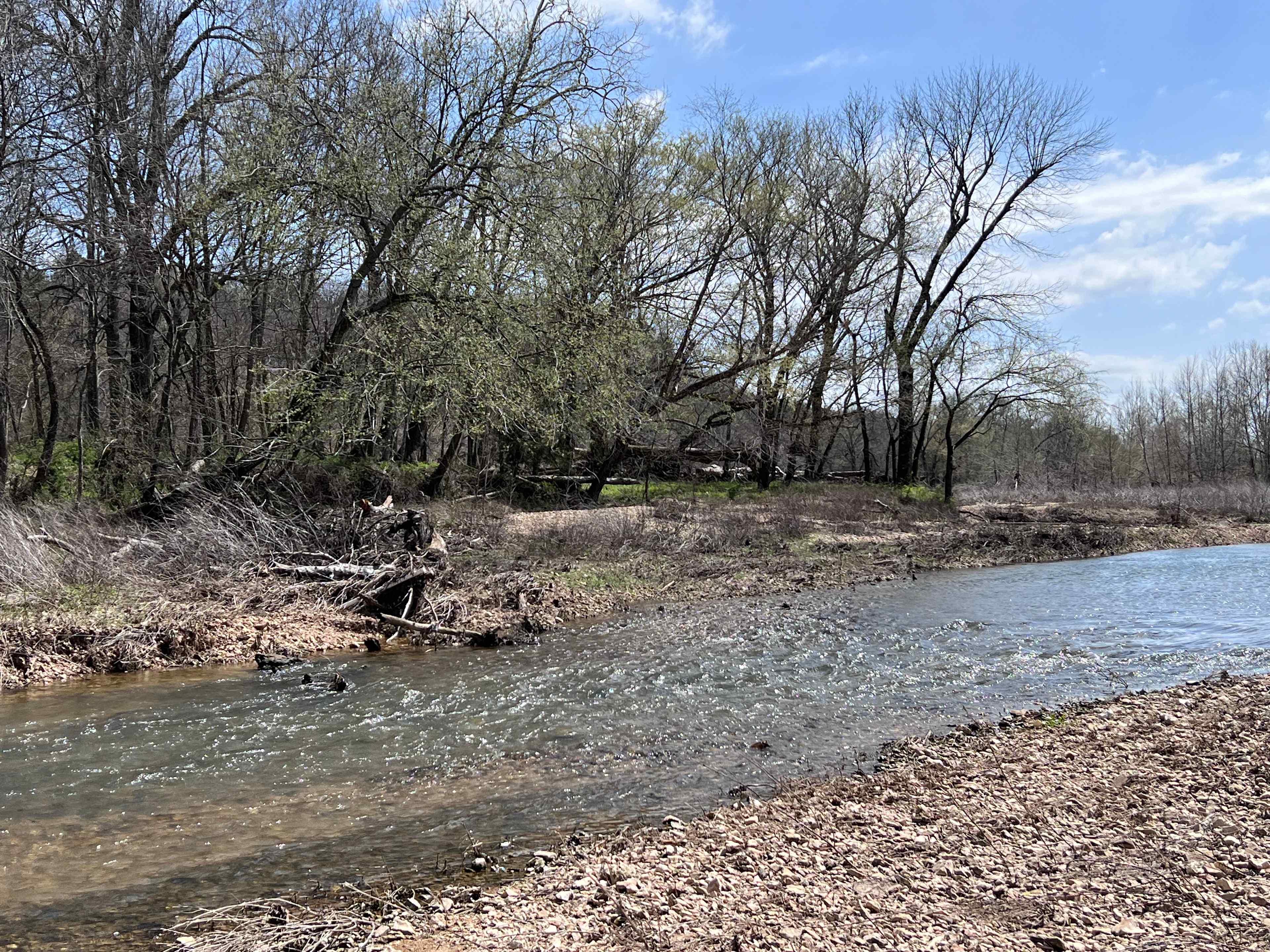 Ballard Creek Camping