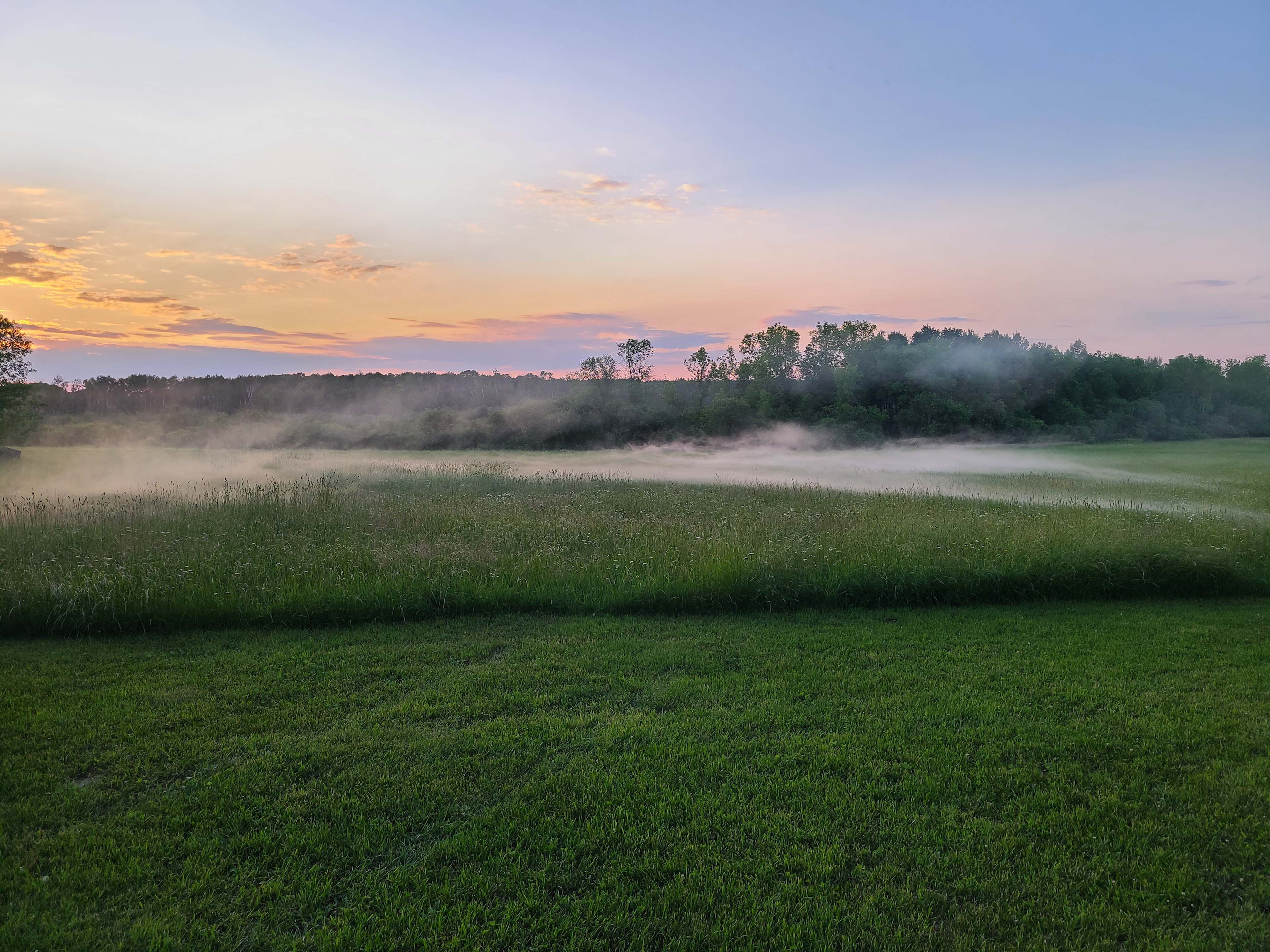Evening view overlooking the meadow.