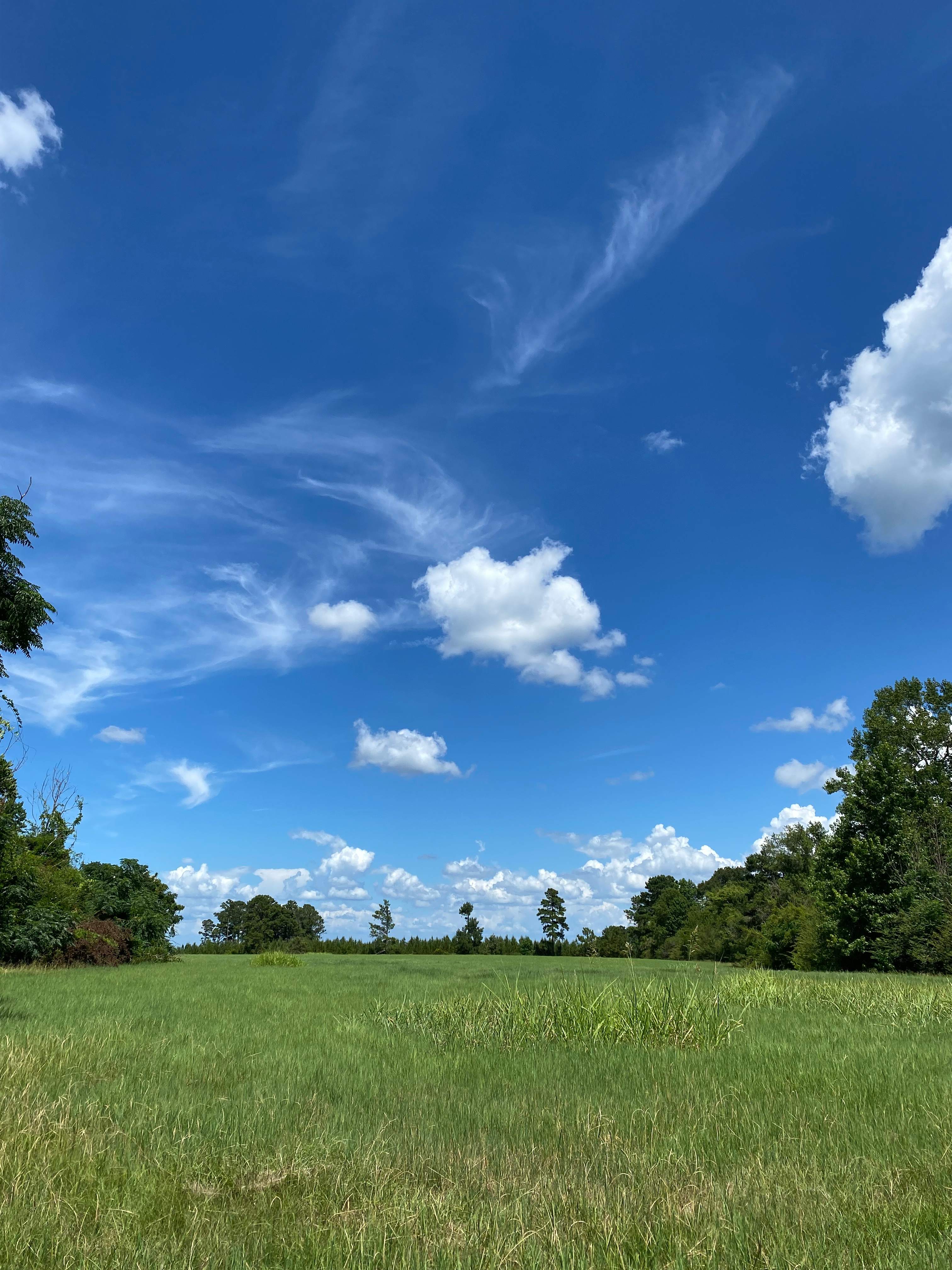 Remote, Peaceful Camp- Boones' Farm