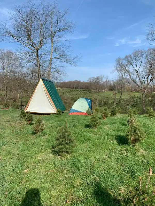 Camping at Heritage Farms