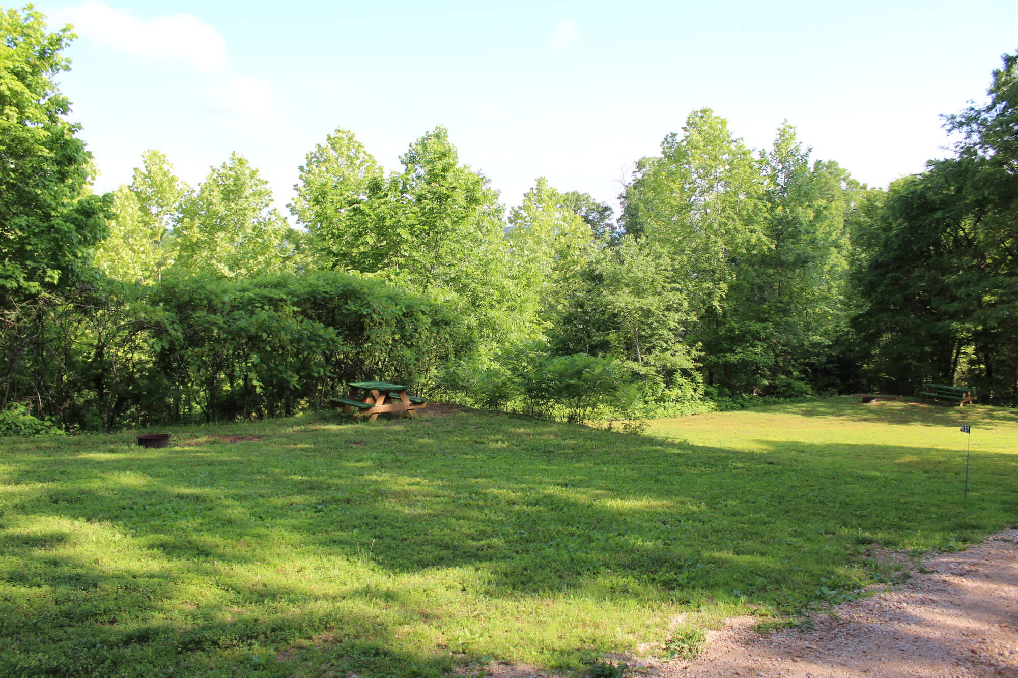 Picture of the site