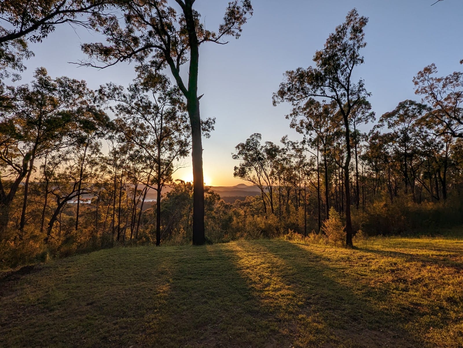Sunrise