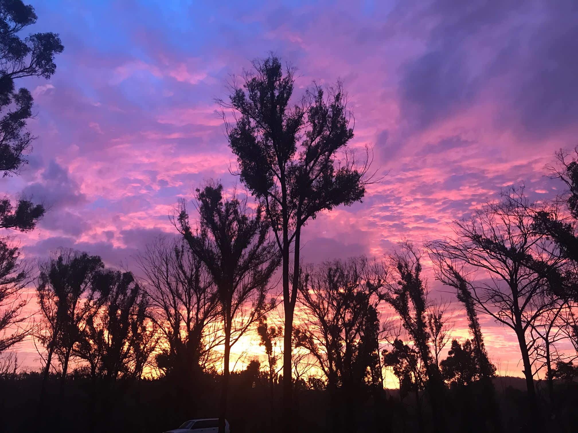 Sunsets