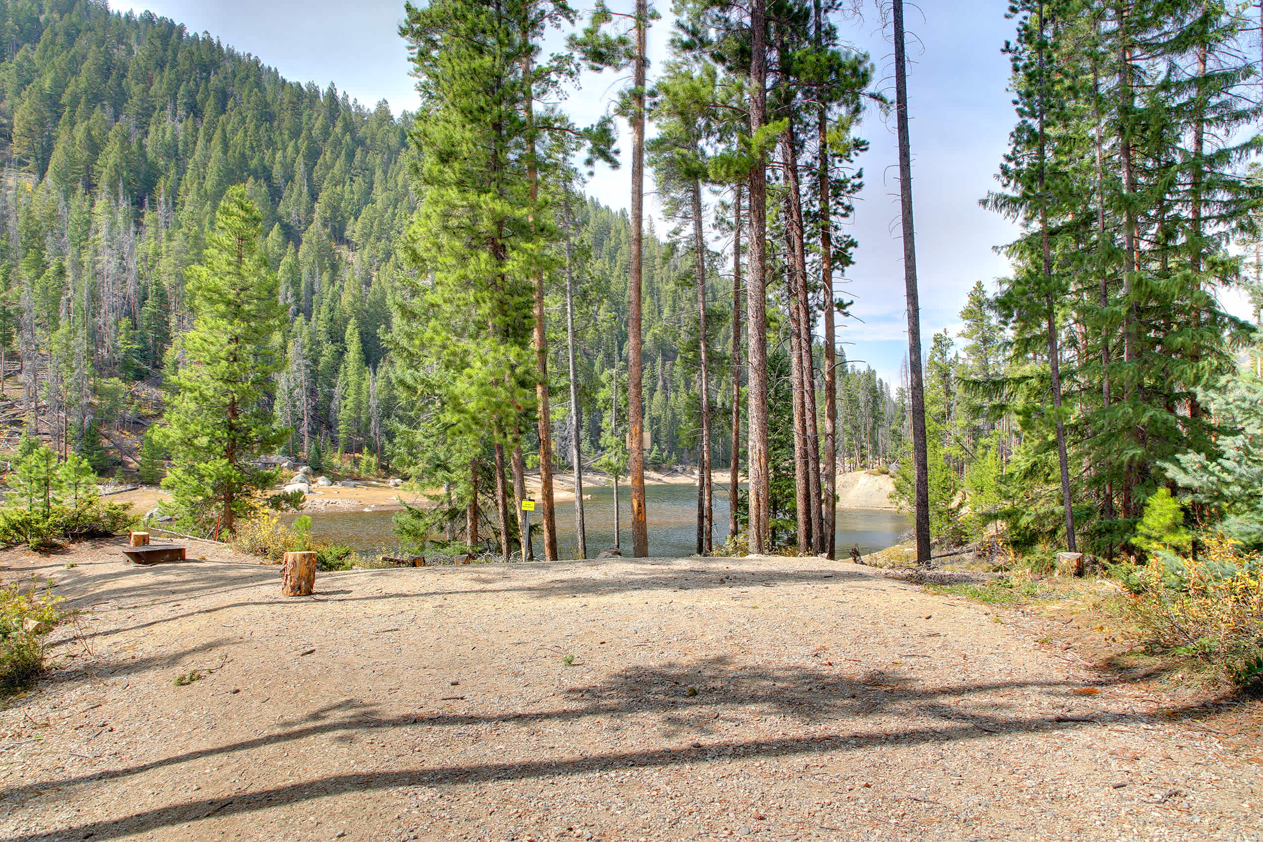 Picture of the site