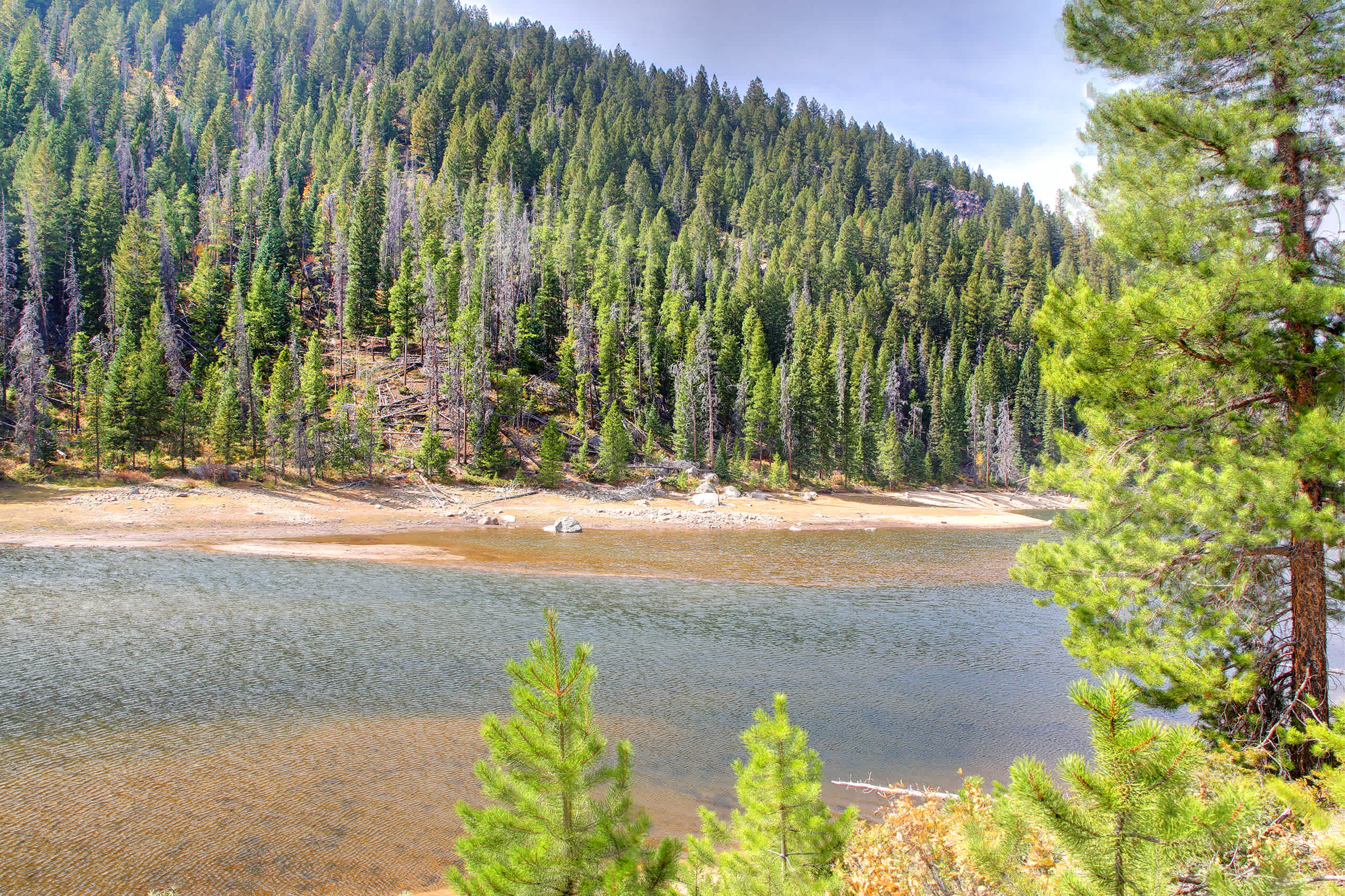 Picture of the site