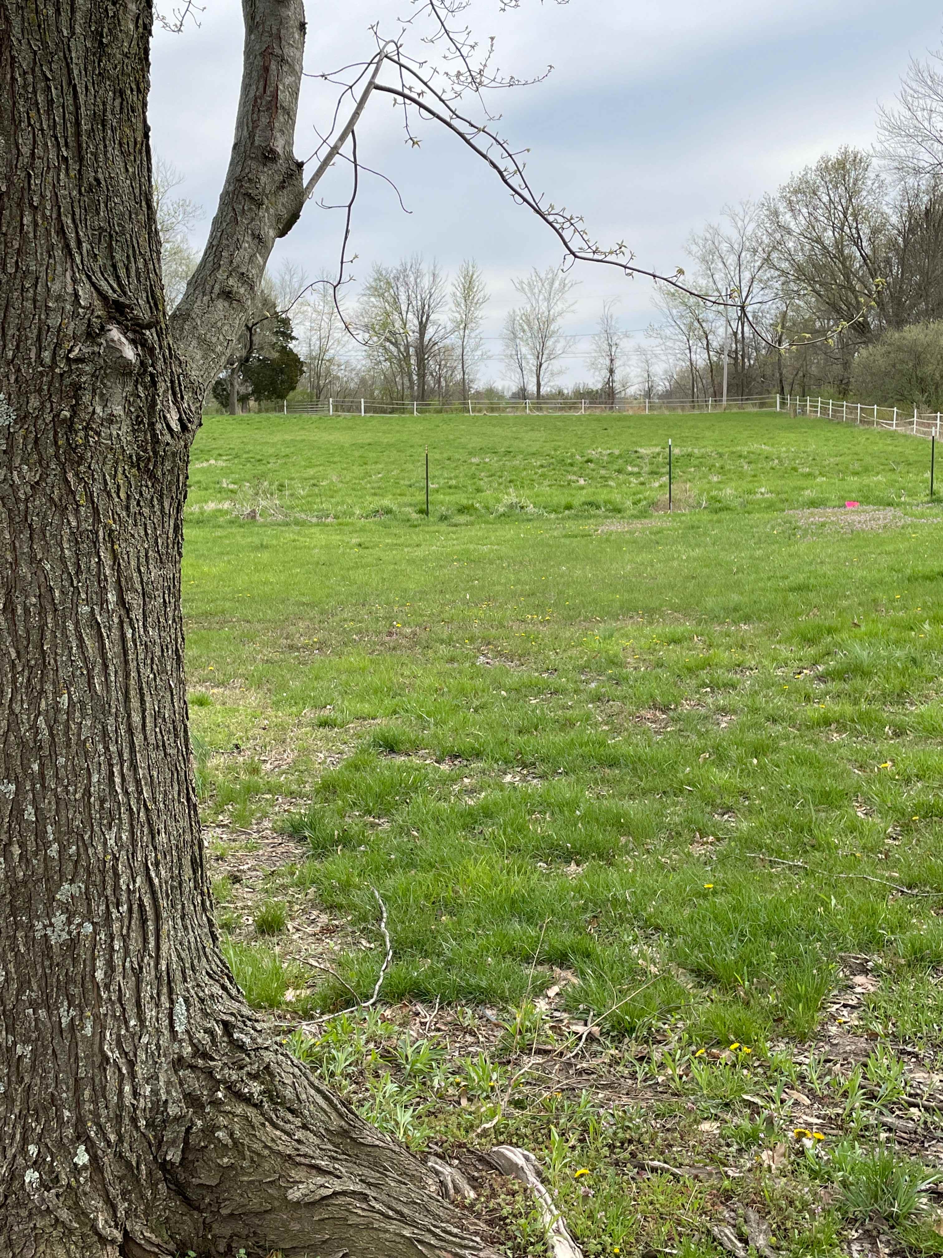 Harmony Hill Acres