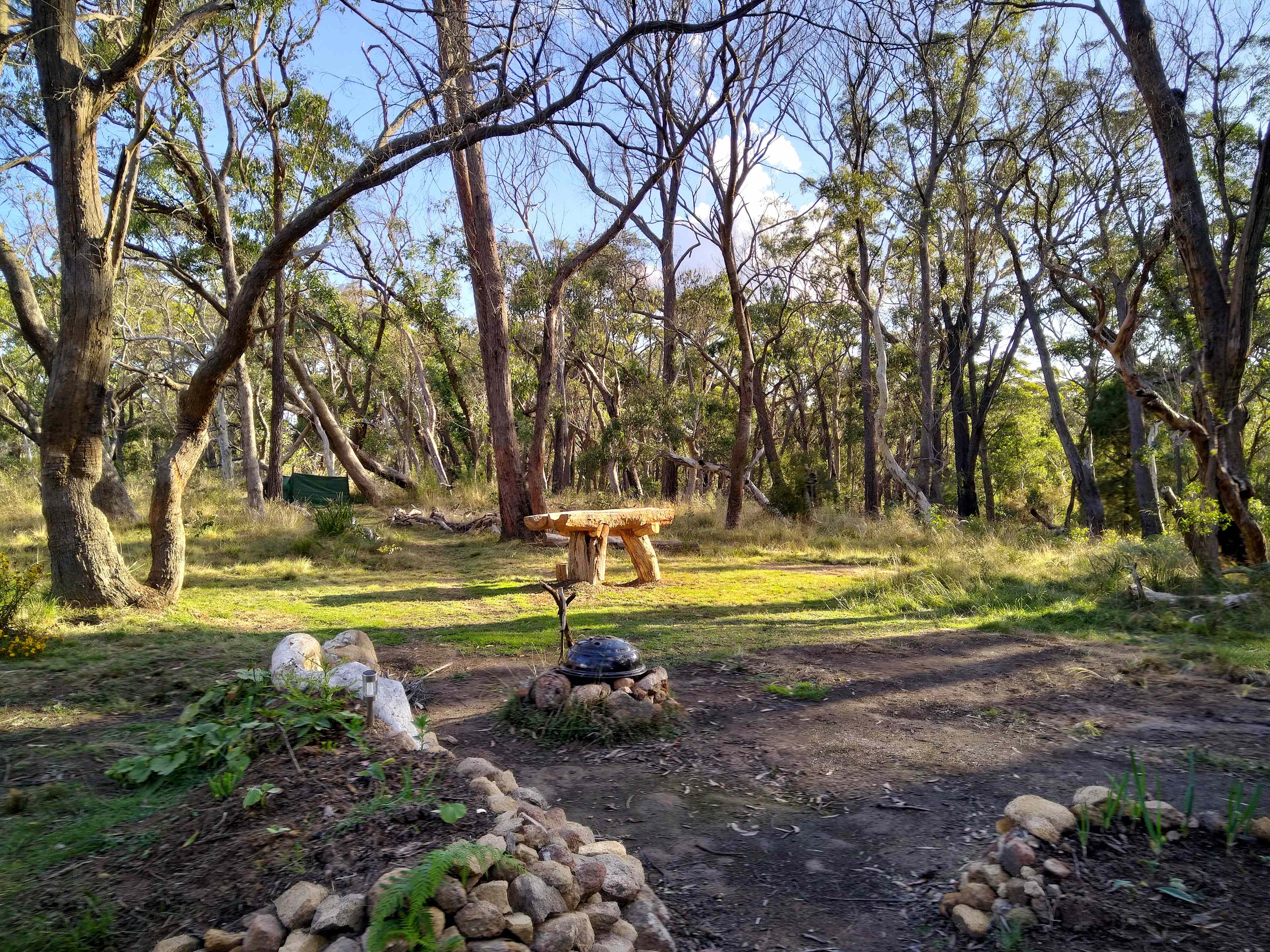 Picture of the site