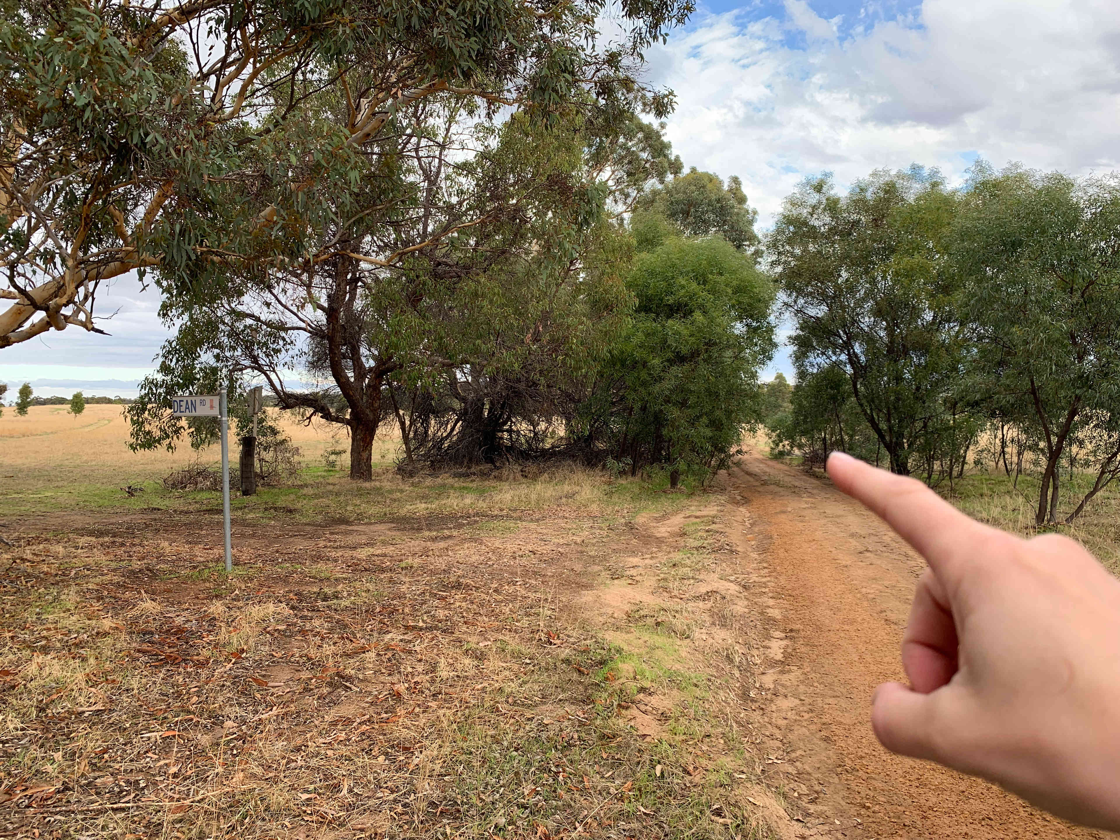 Picture of the site