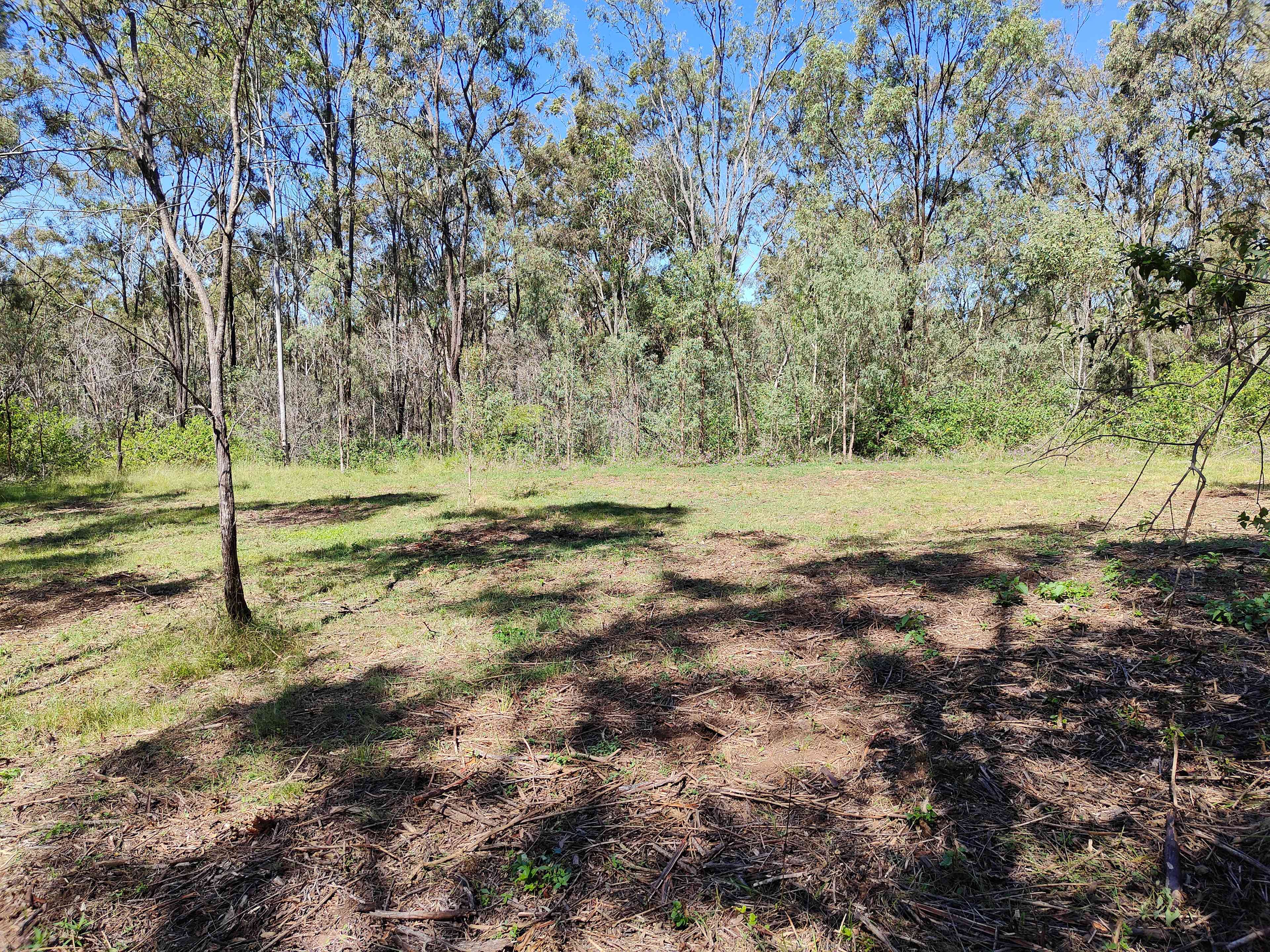 Hunter Downs