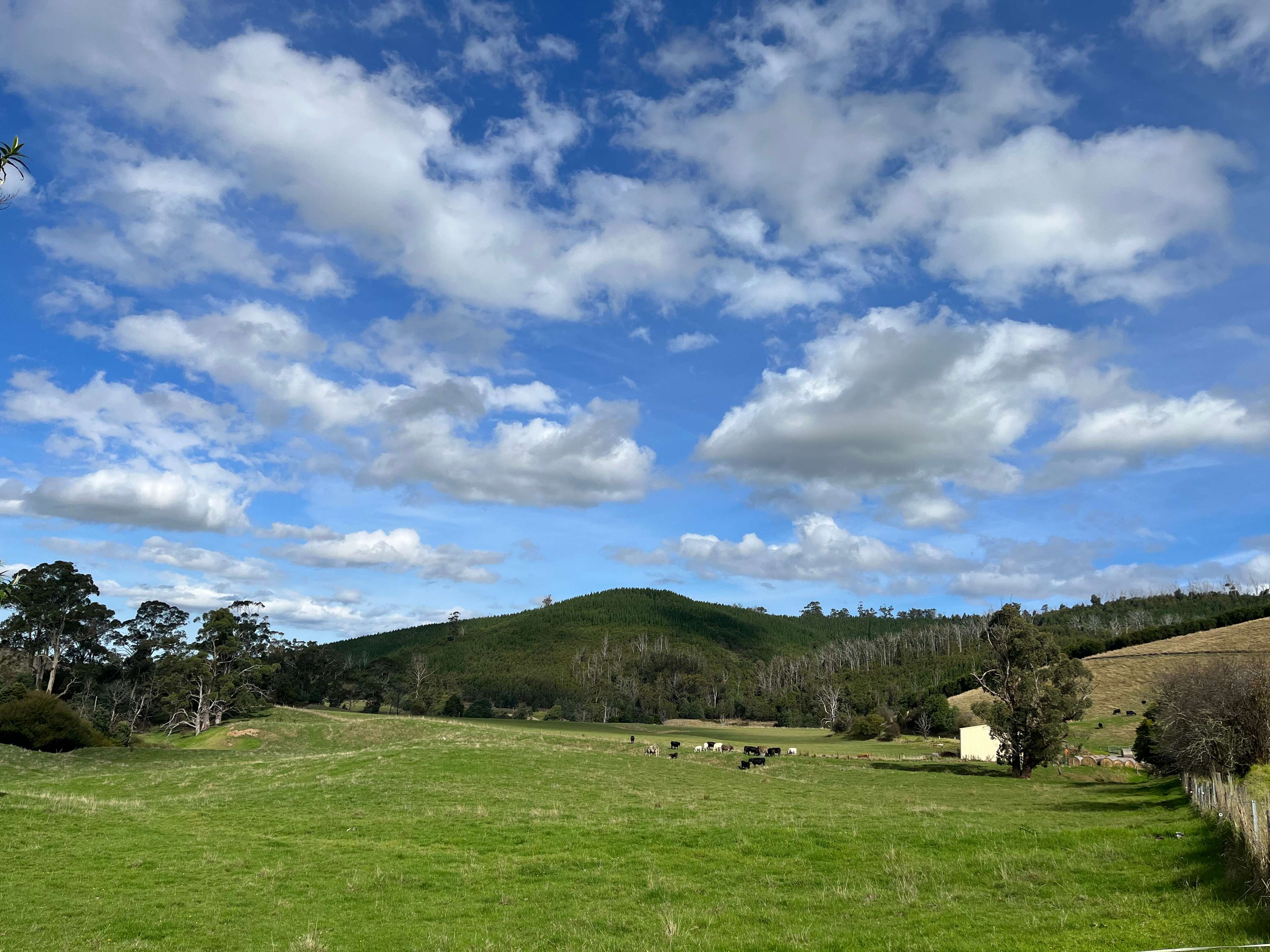 Treventy Hut
