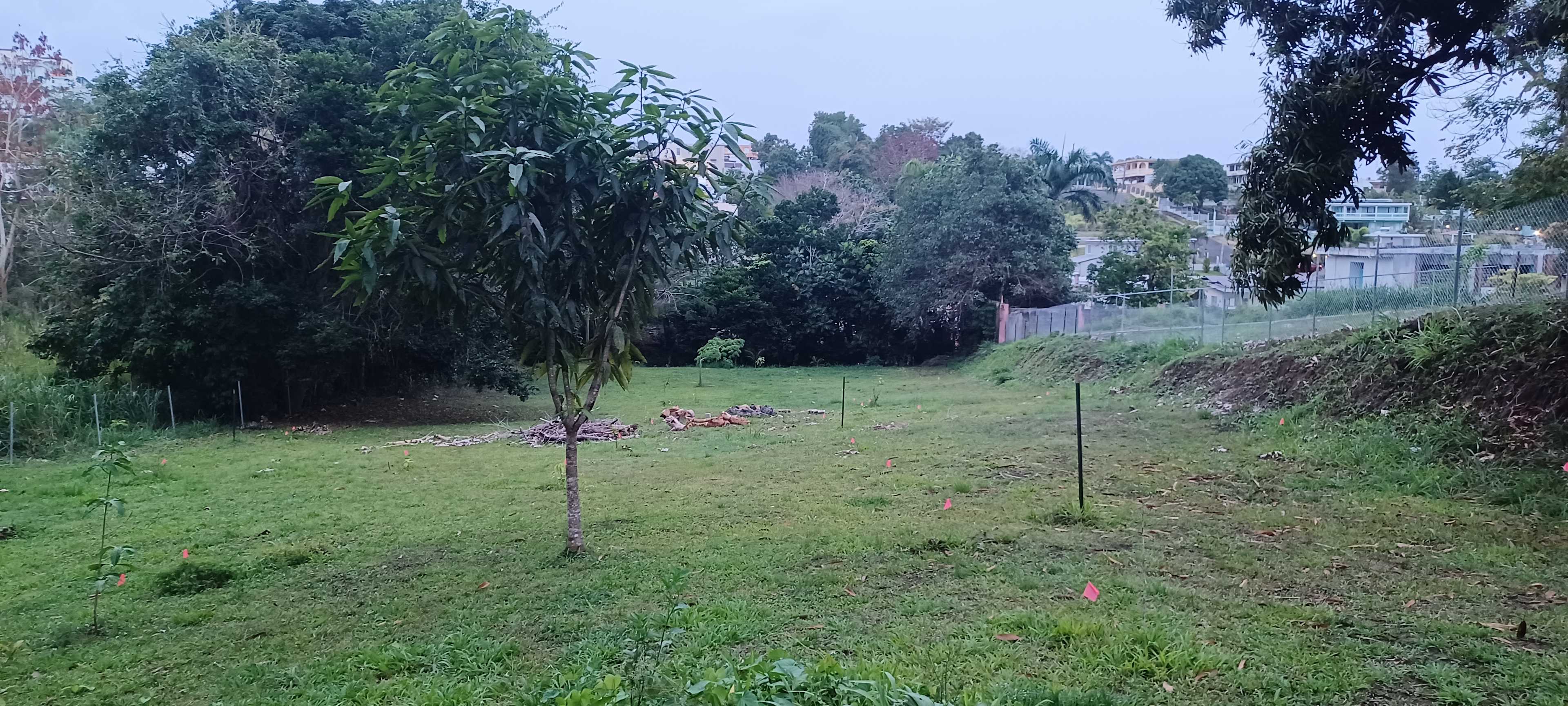 Camp Gongaga