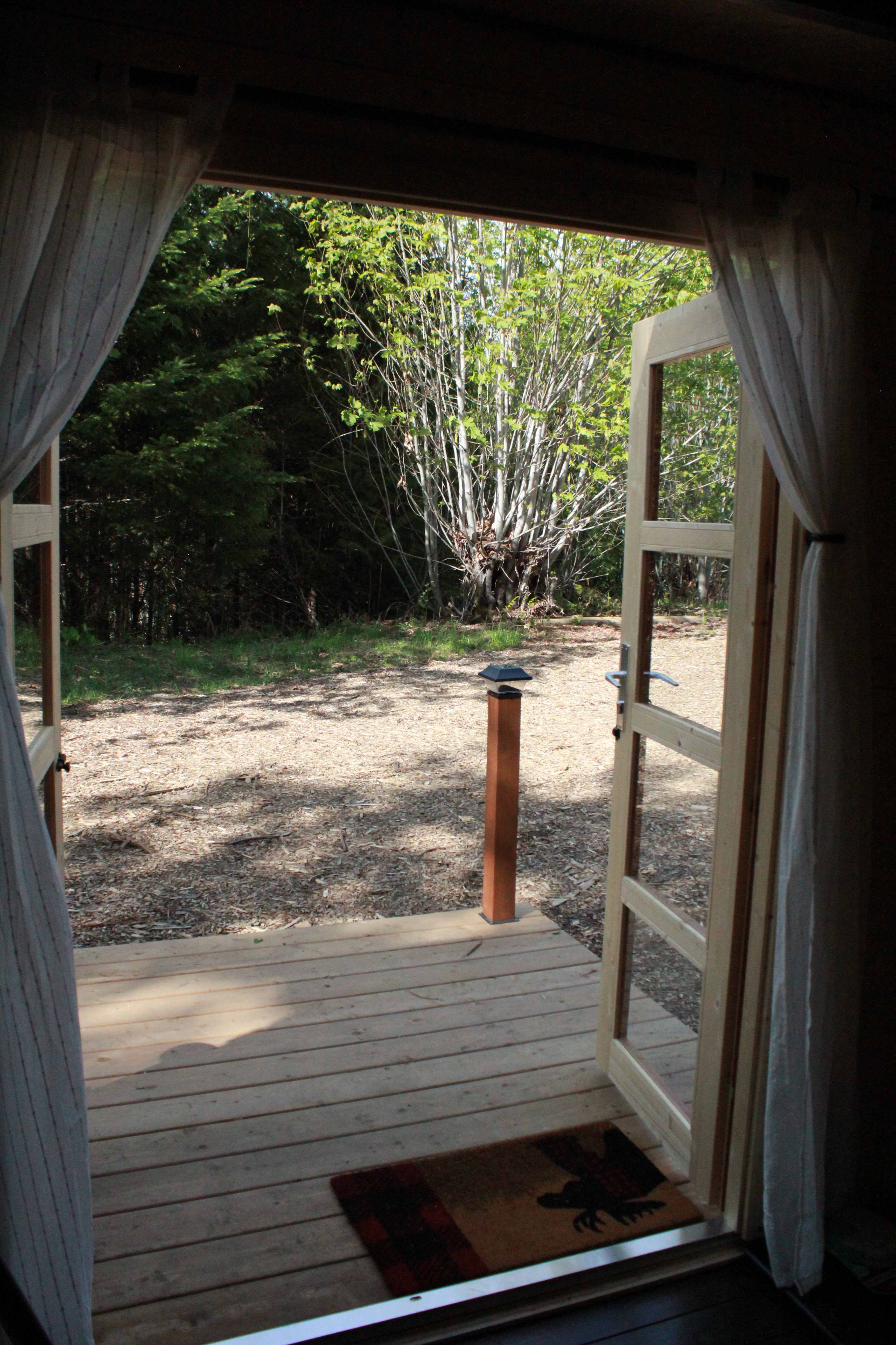 360 degree forest bathing
