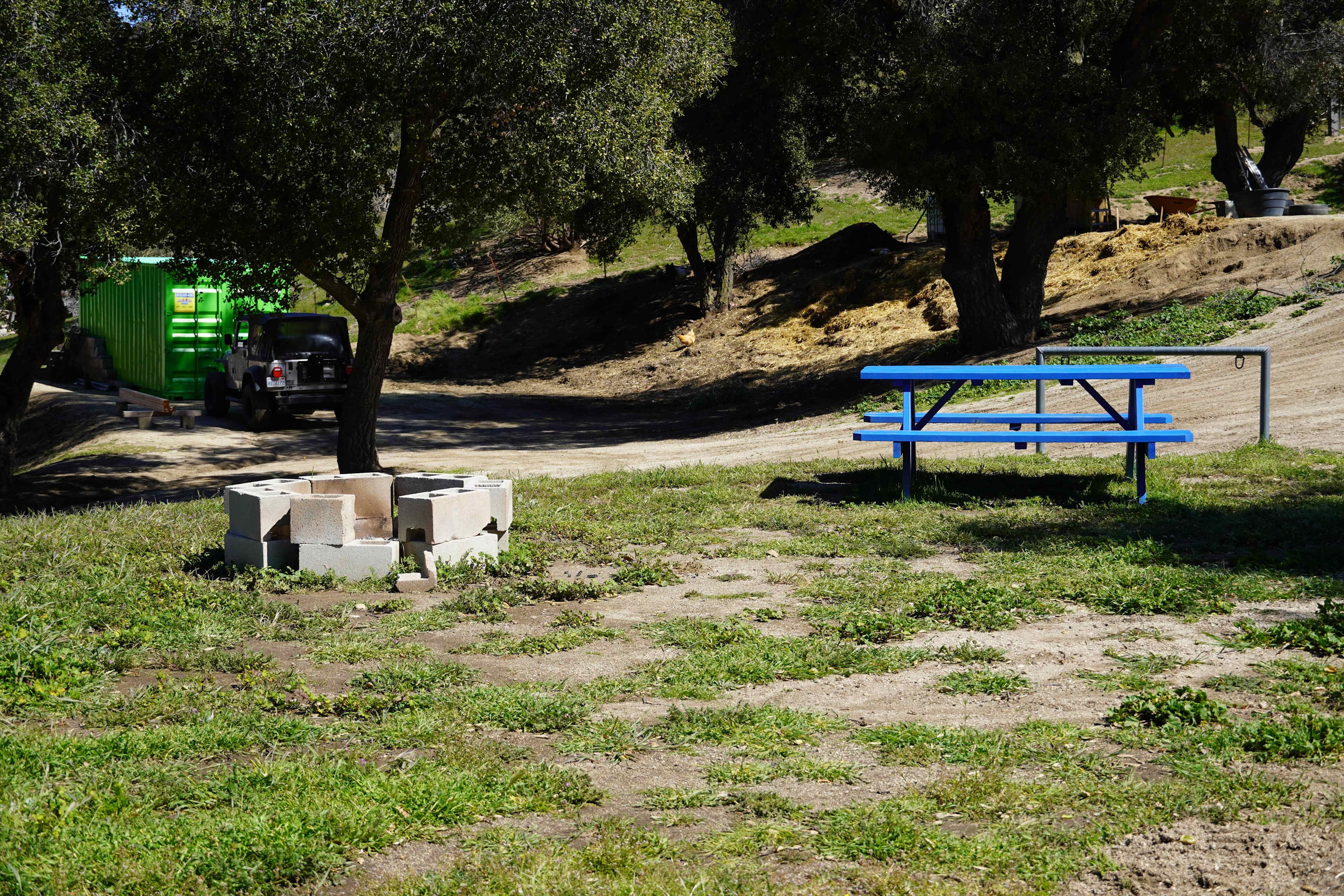 Picture of the site