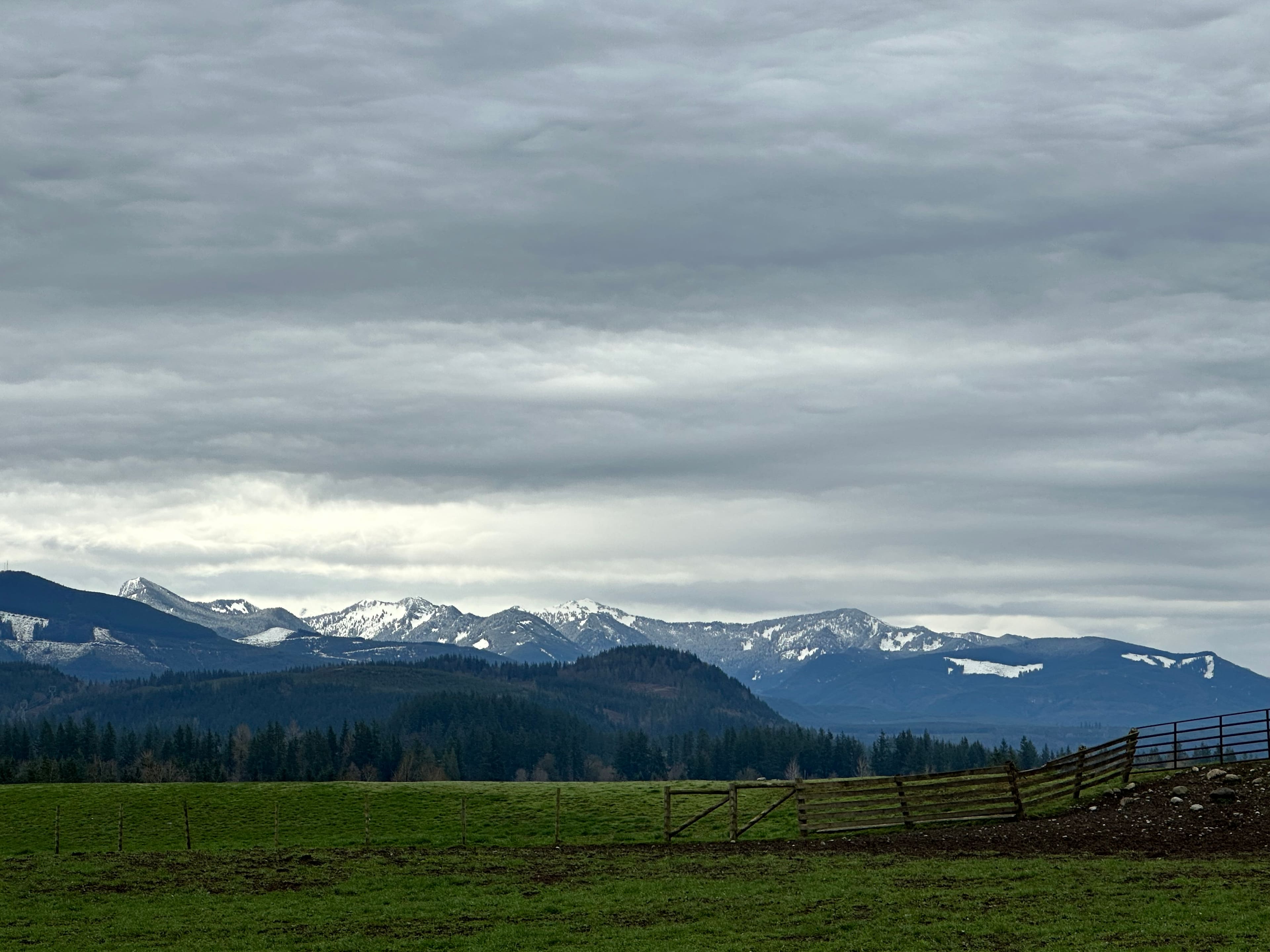 Blue Mist Farm