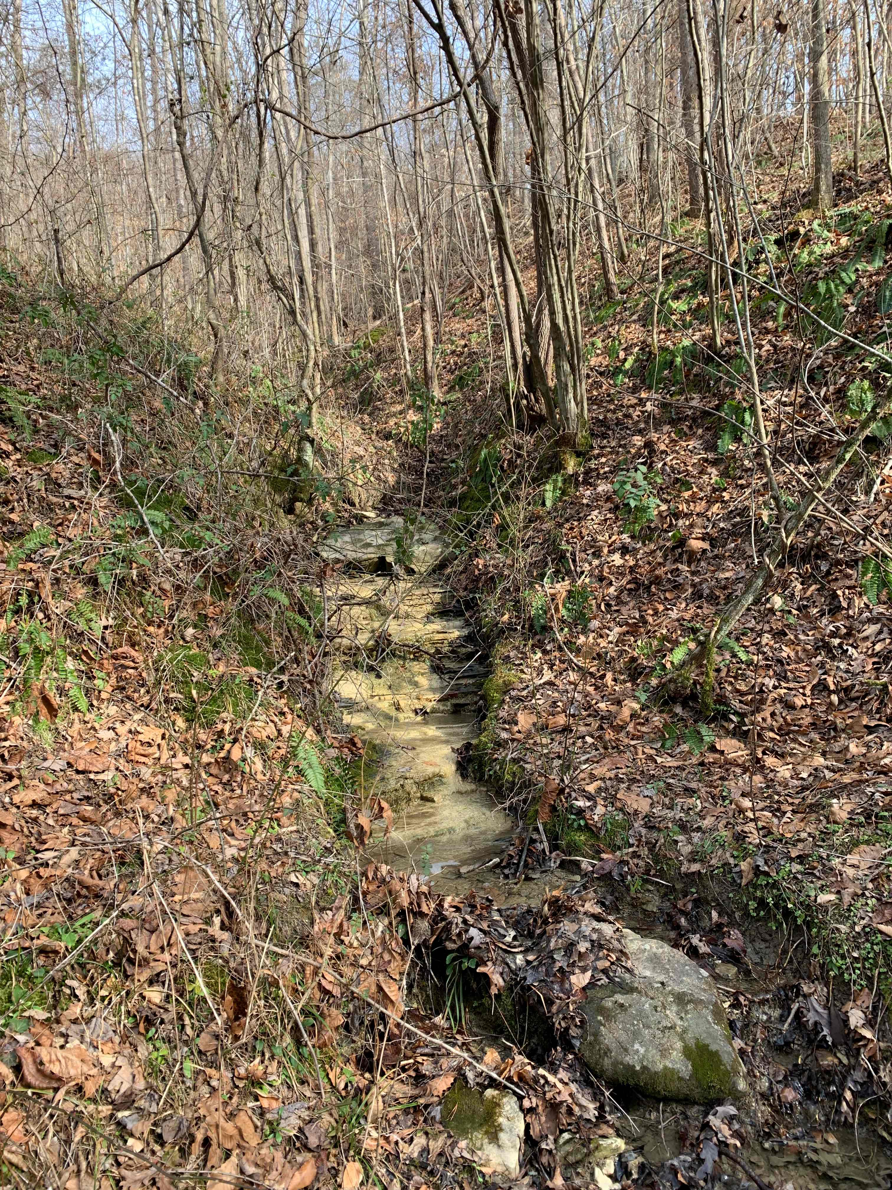 Creek