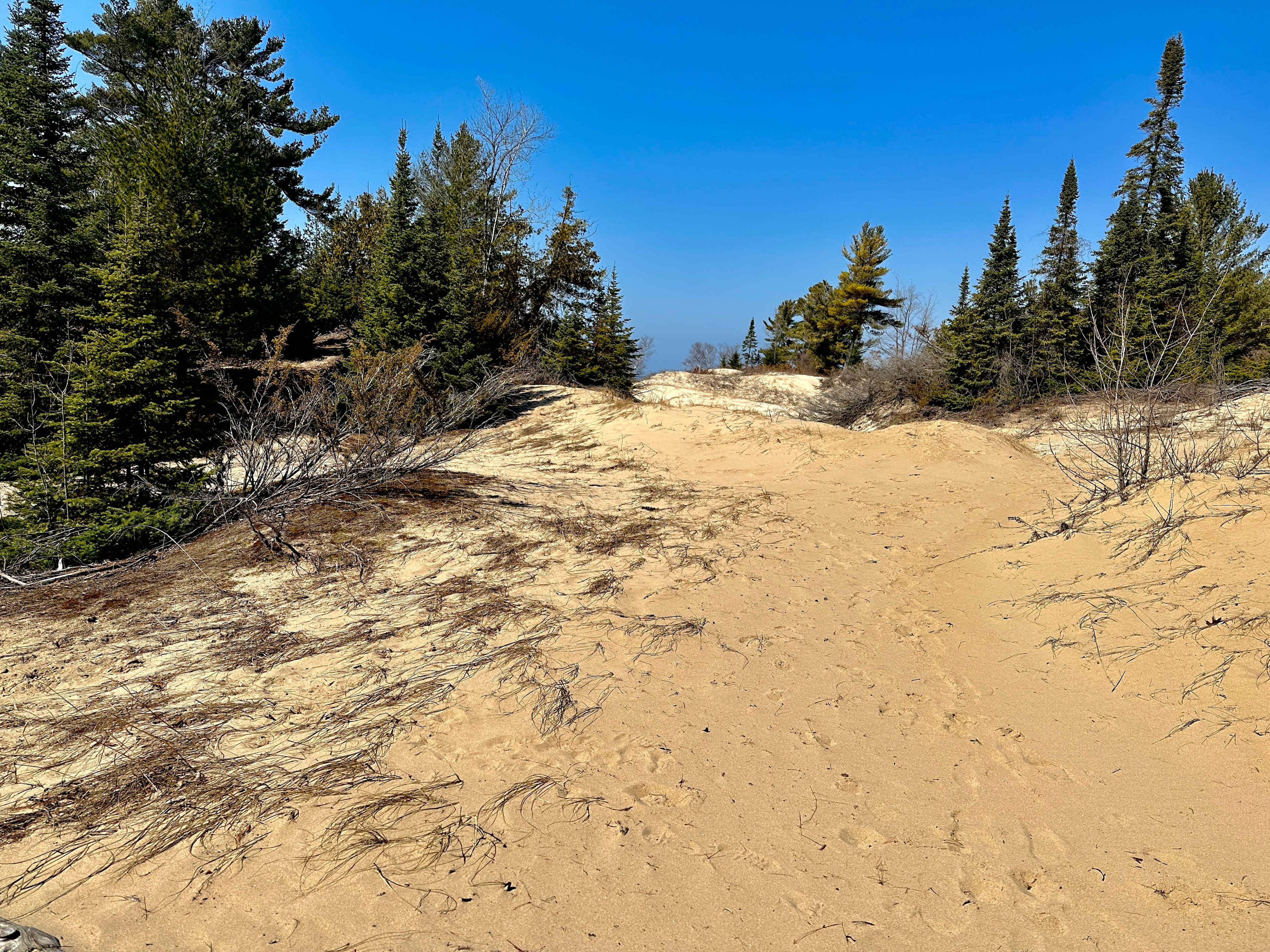 Picture of the site