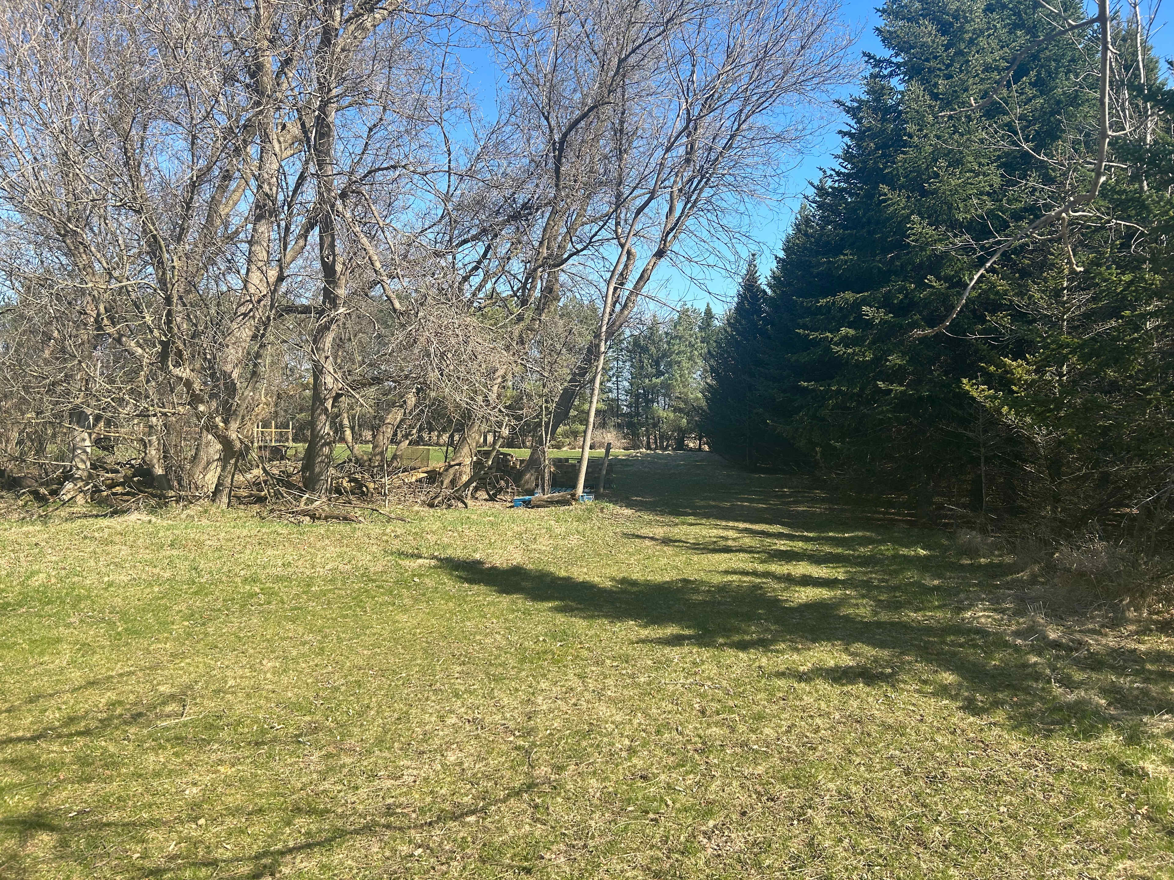 Area to pitch tent 60ft x 60ft