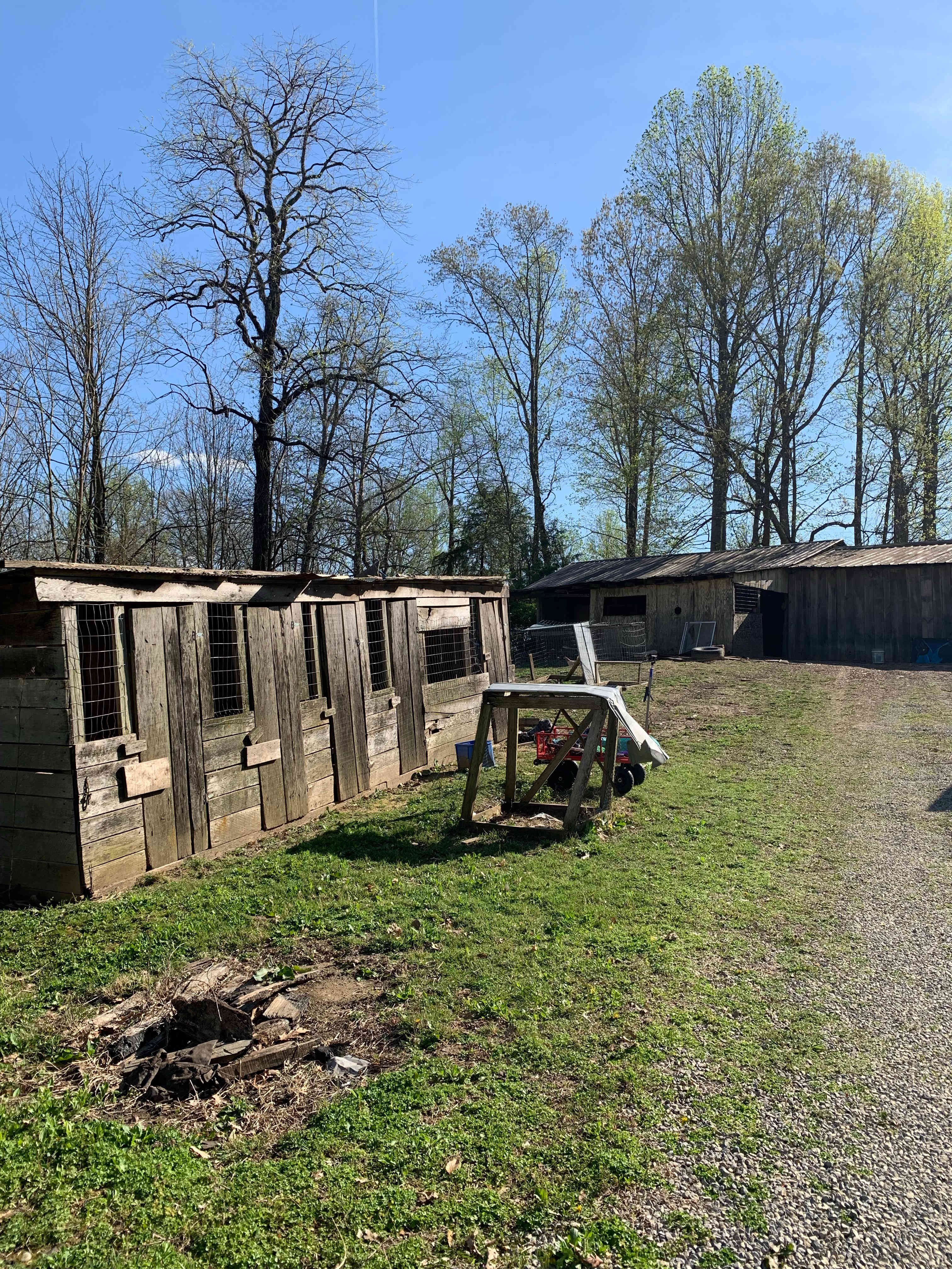 Finding My Freedom Farm
