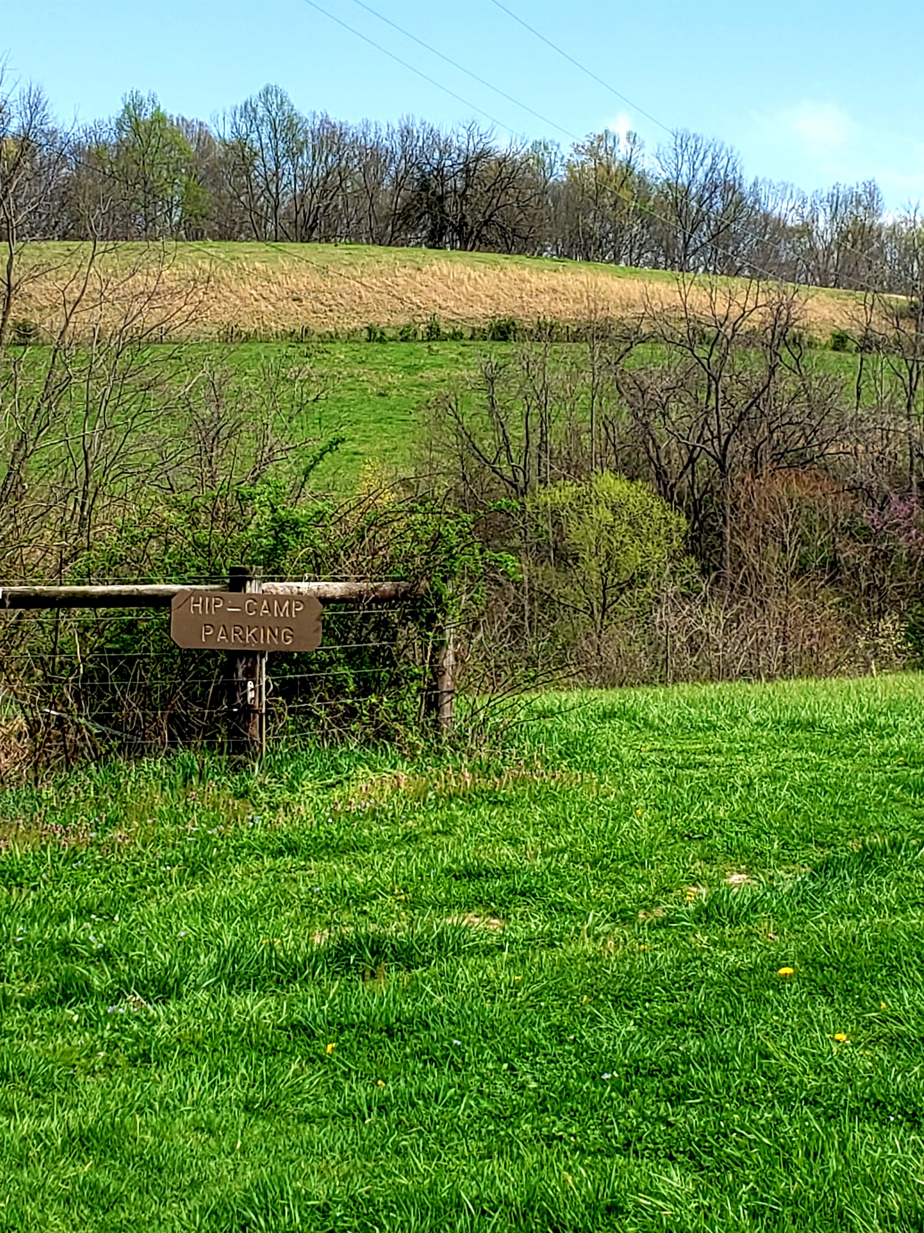 Picture of the site