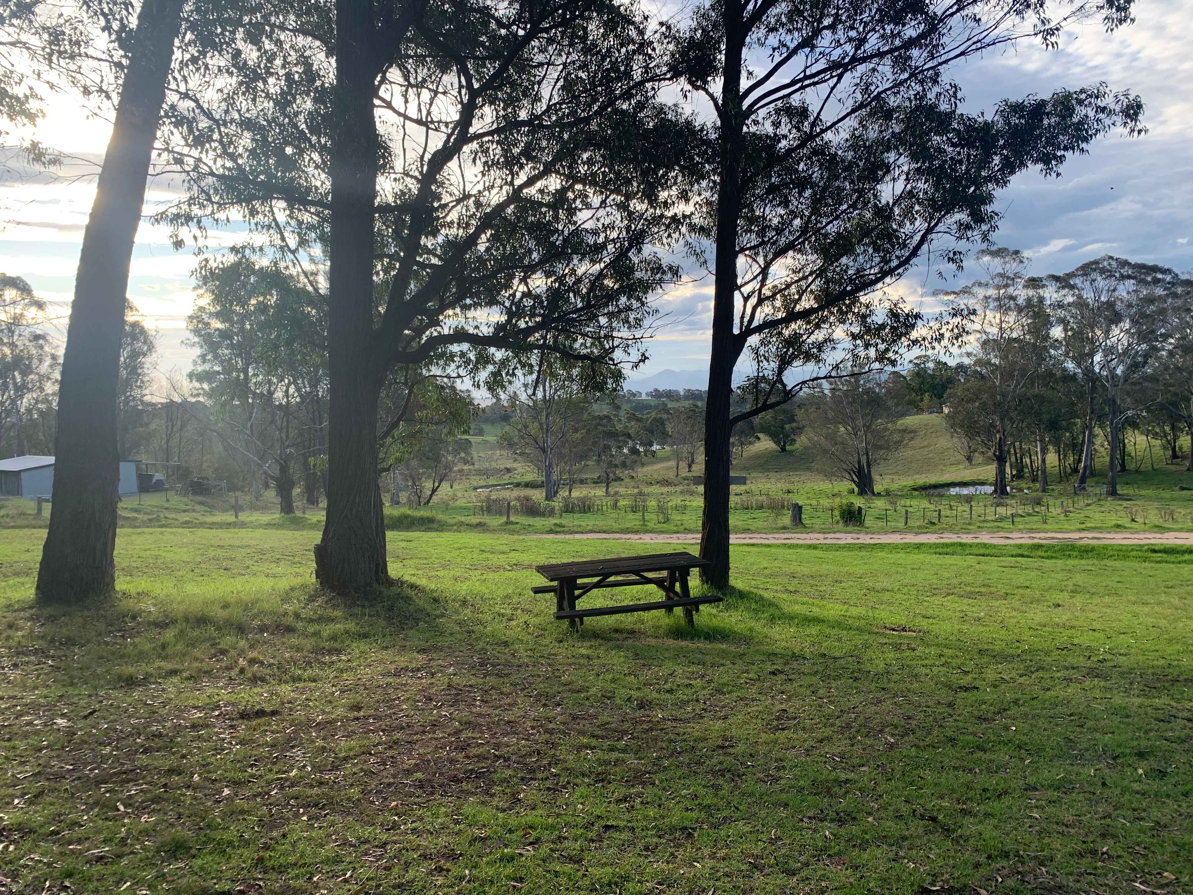 Picture of the site