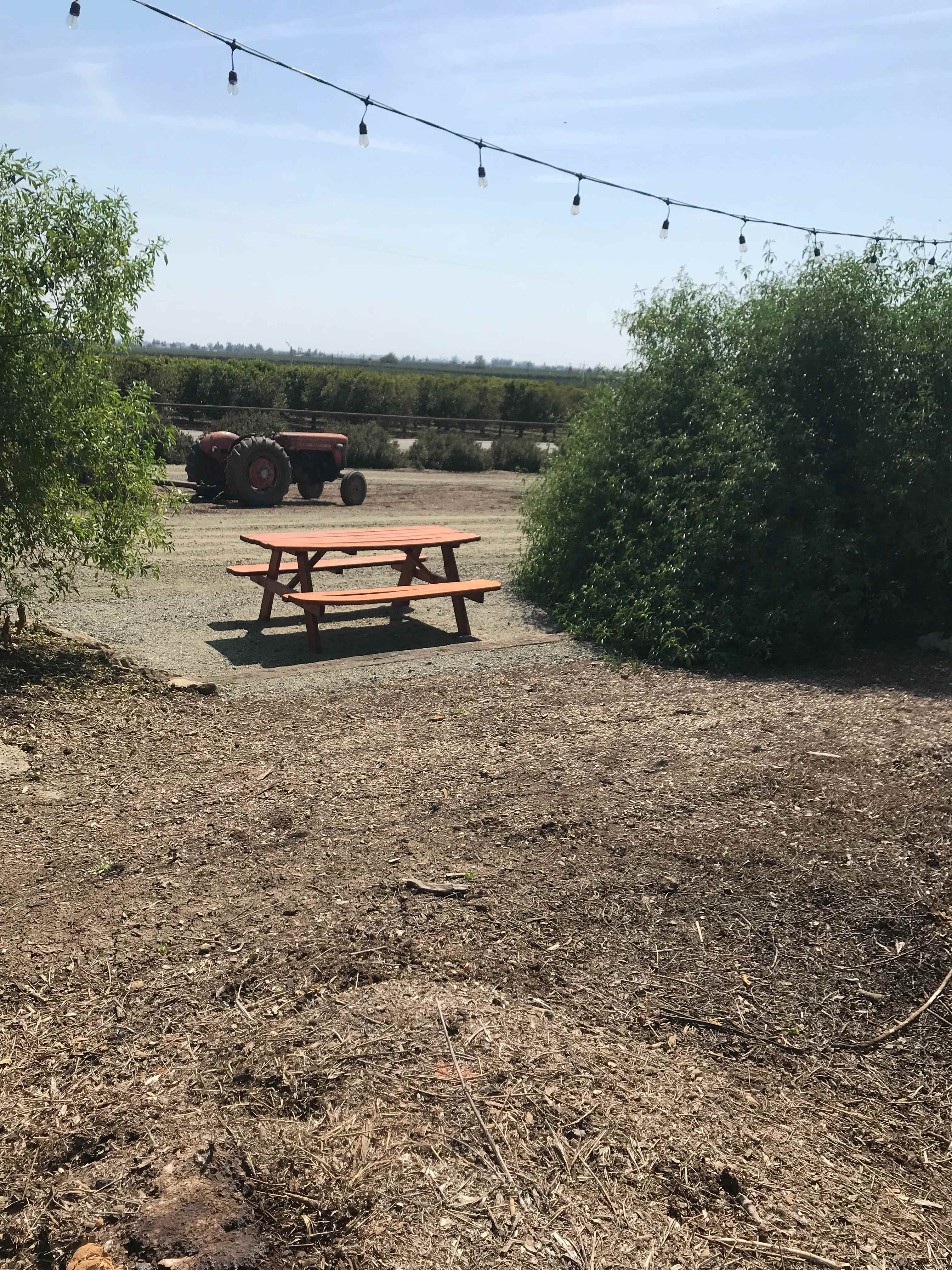 Lucky Dog Ranch with Pickleball