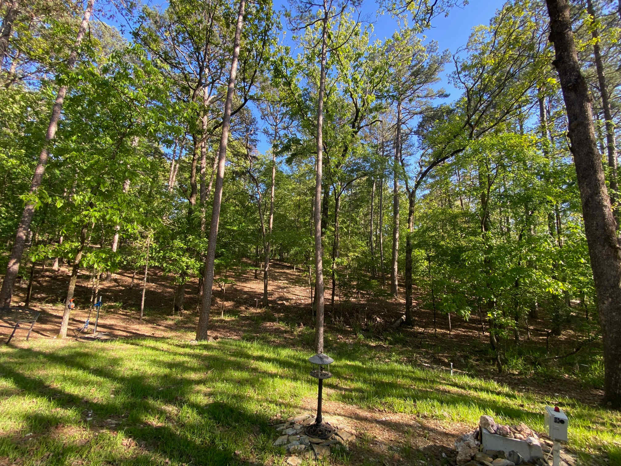Darbywoods RV Park
