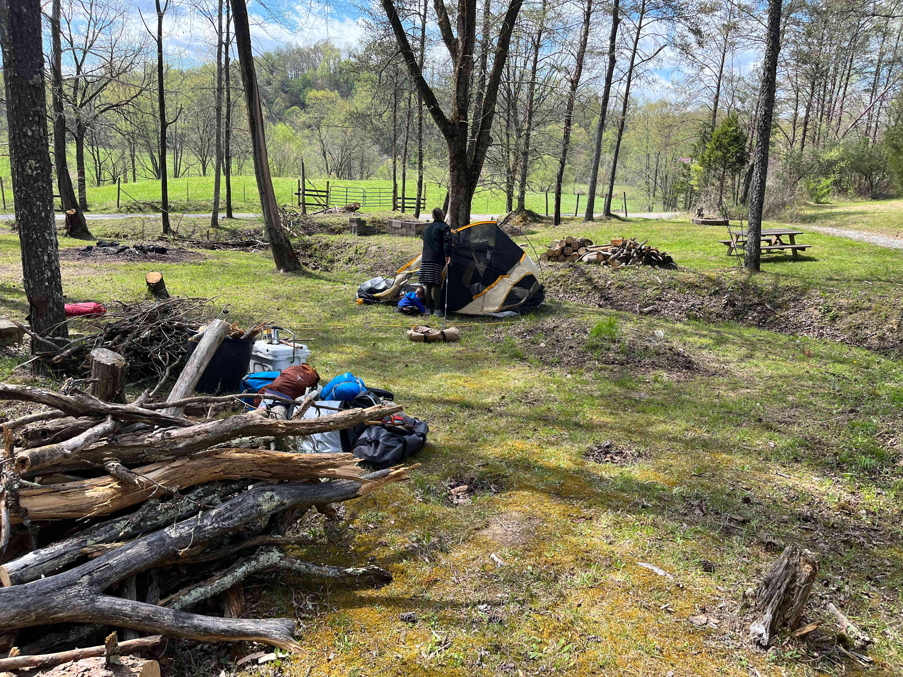Picture of the site
