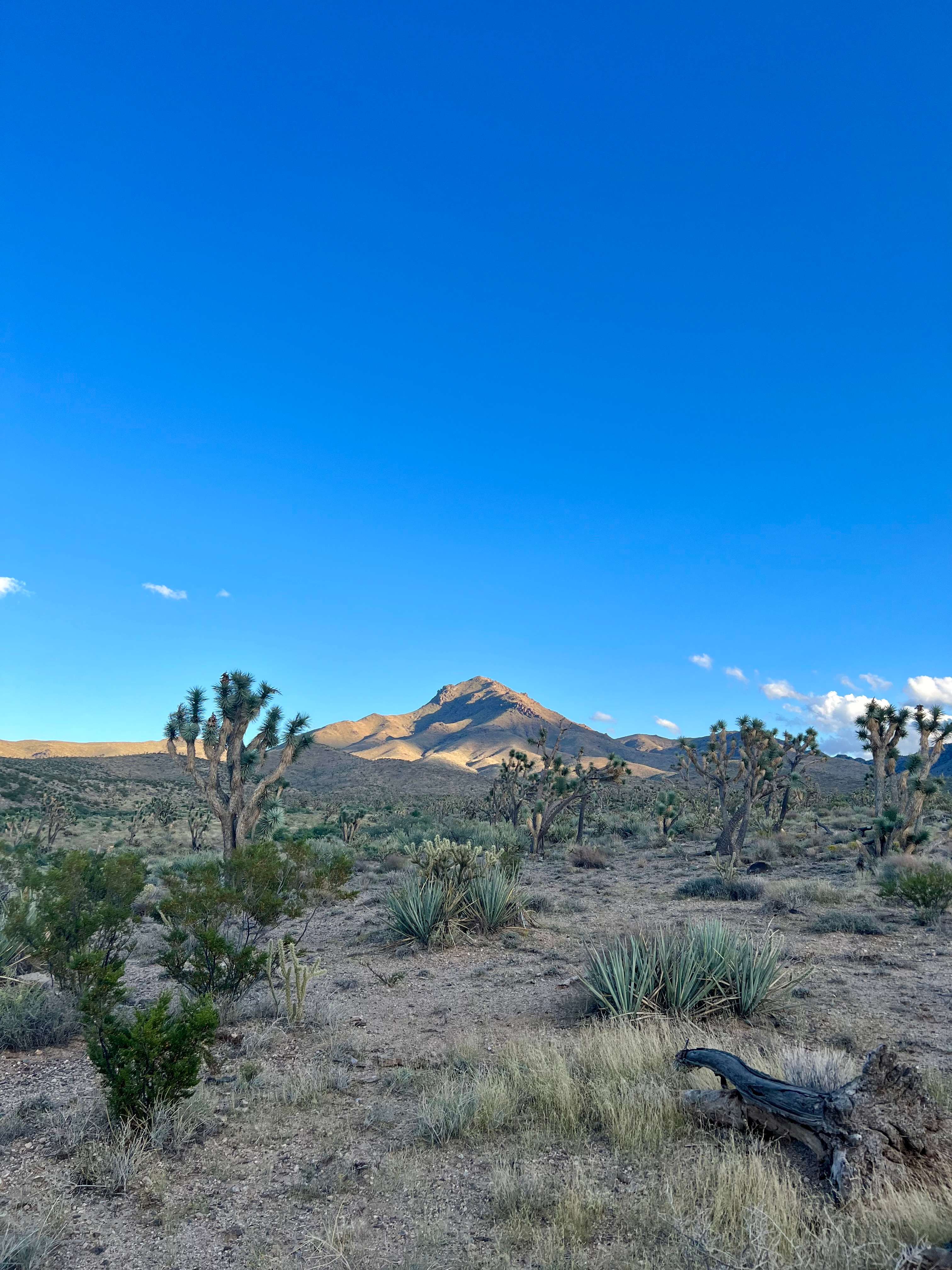 Corvus Mountain View Retreat