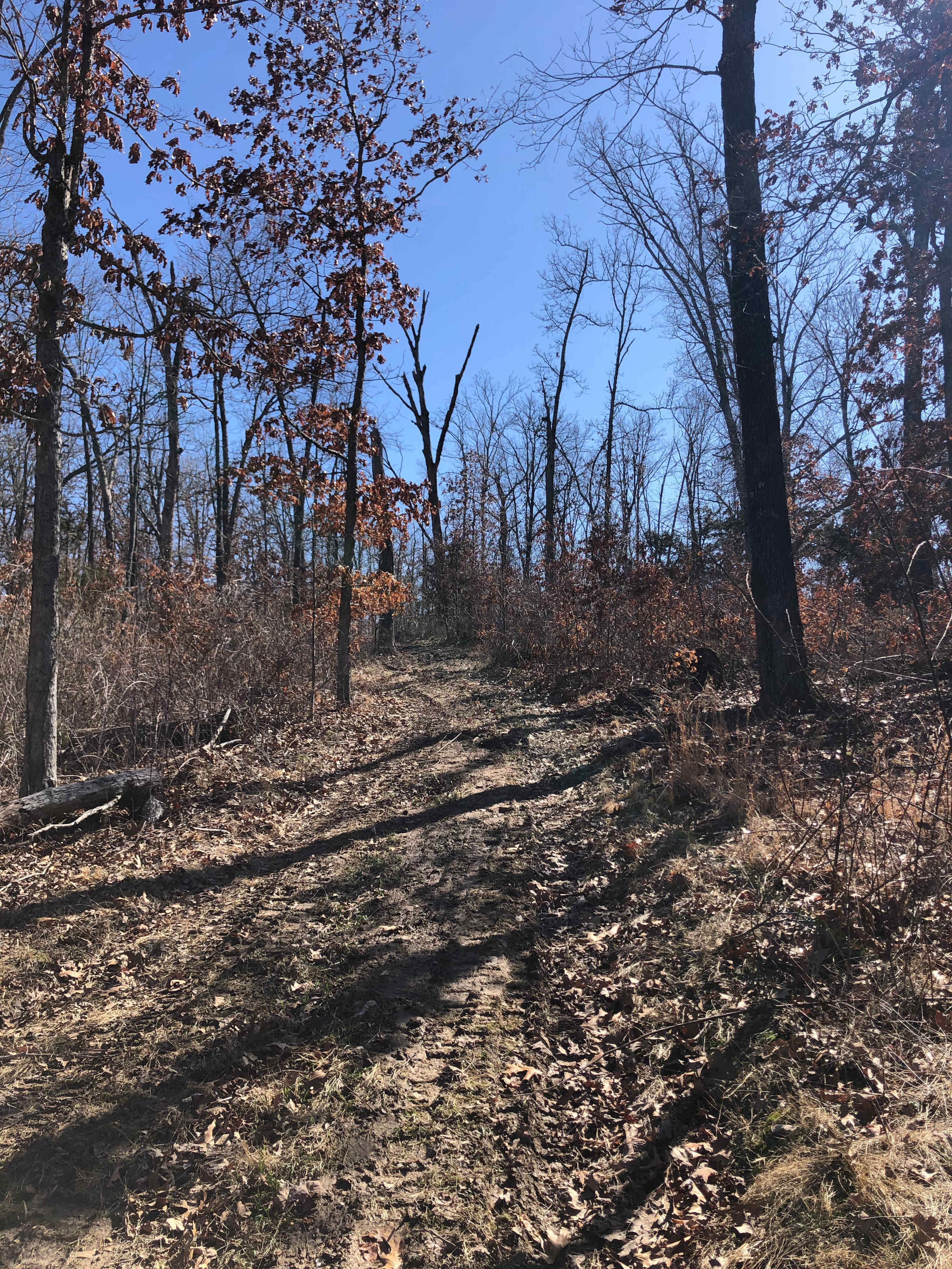 Parker Branch