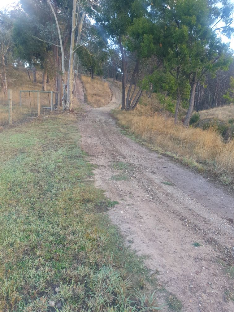 Micks Campsite