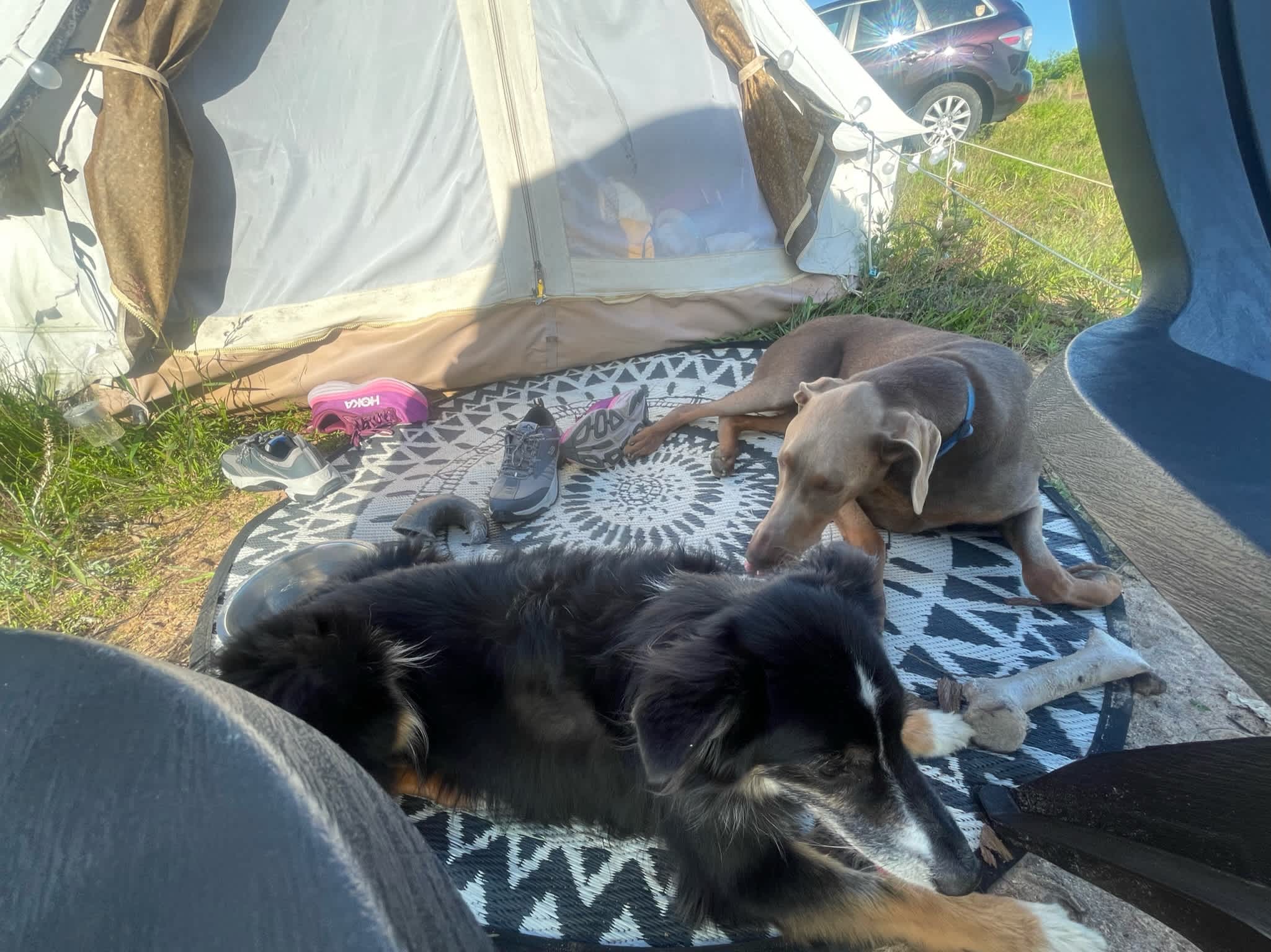 County Rd Camp & Glamp