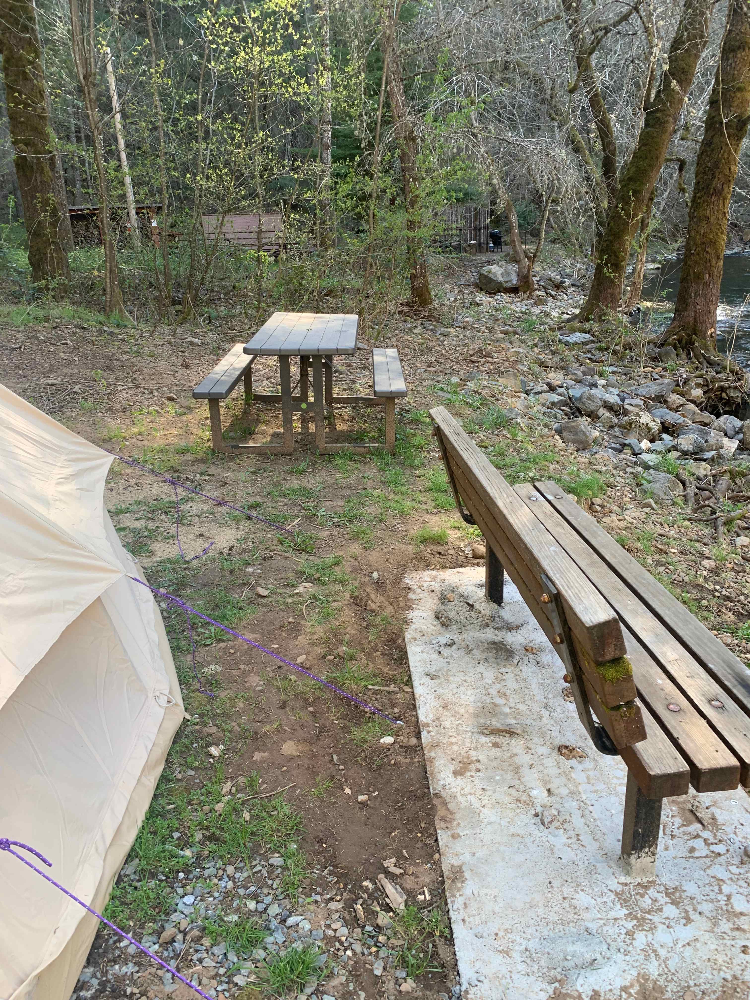 Picture of the site