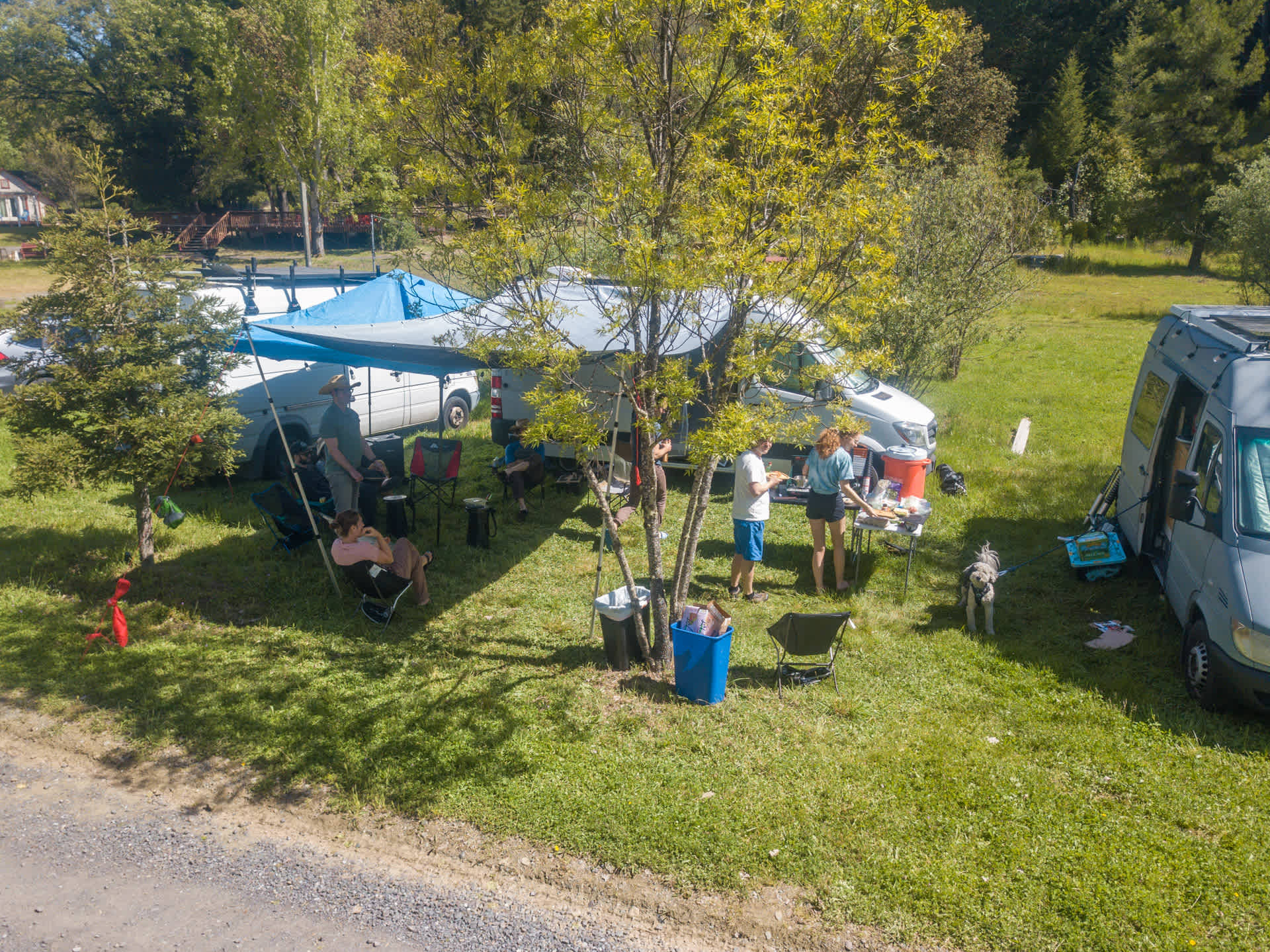 Picture of the site