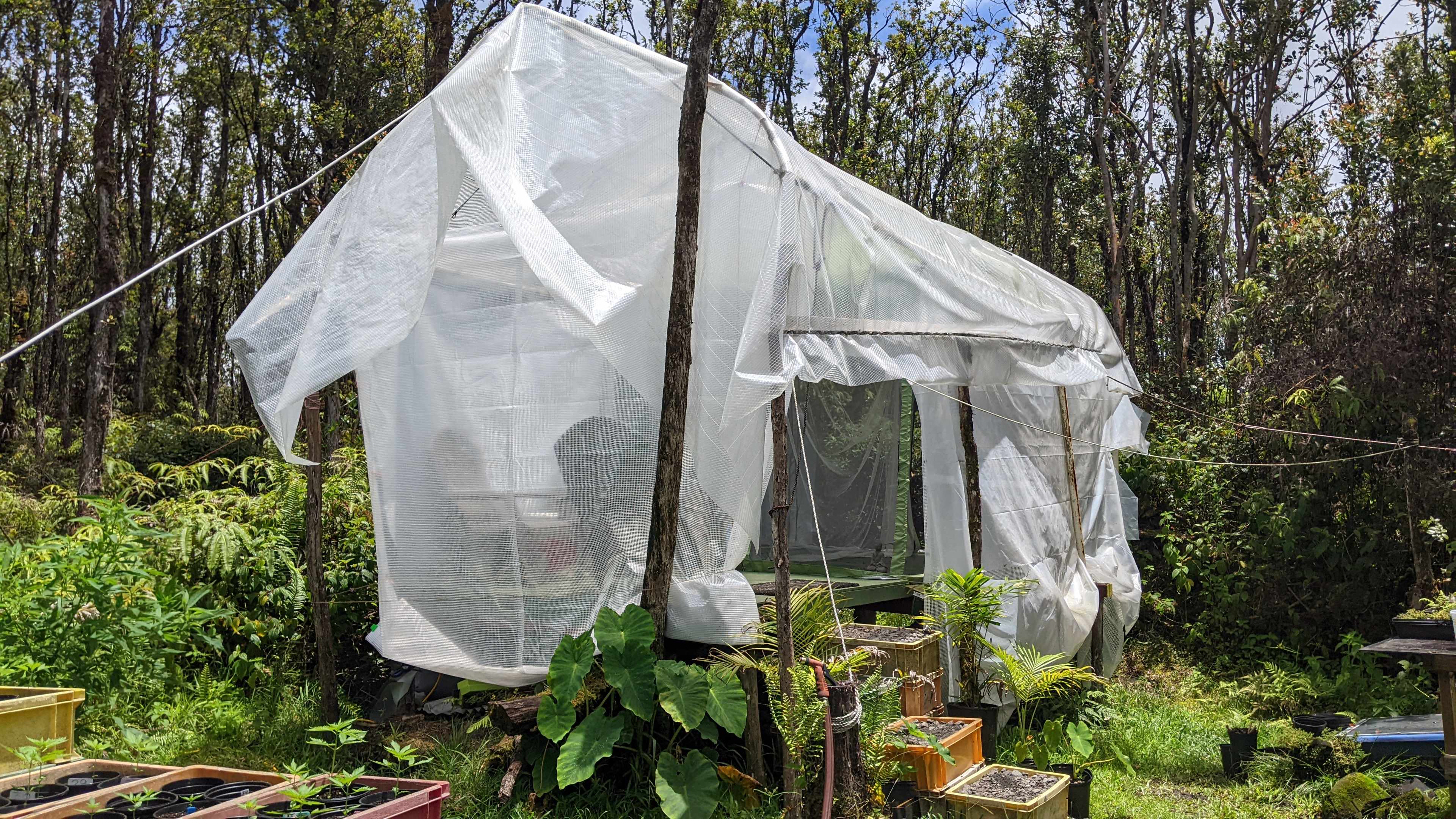 Greenhouse Campsite