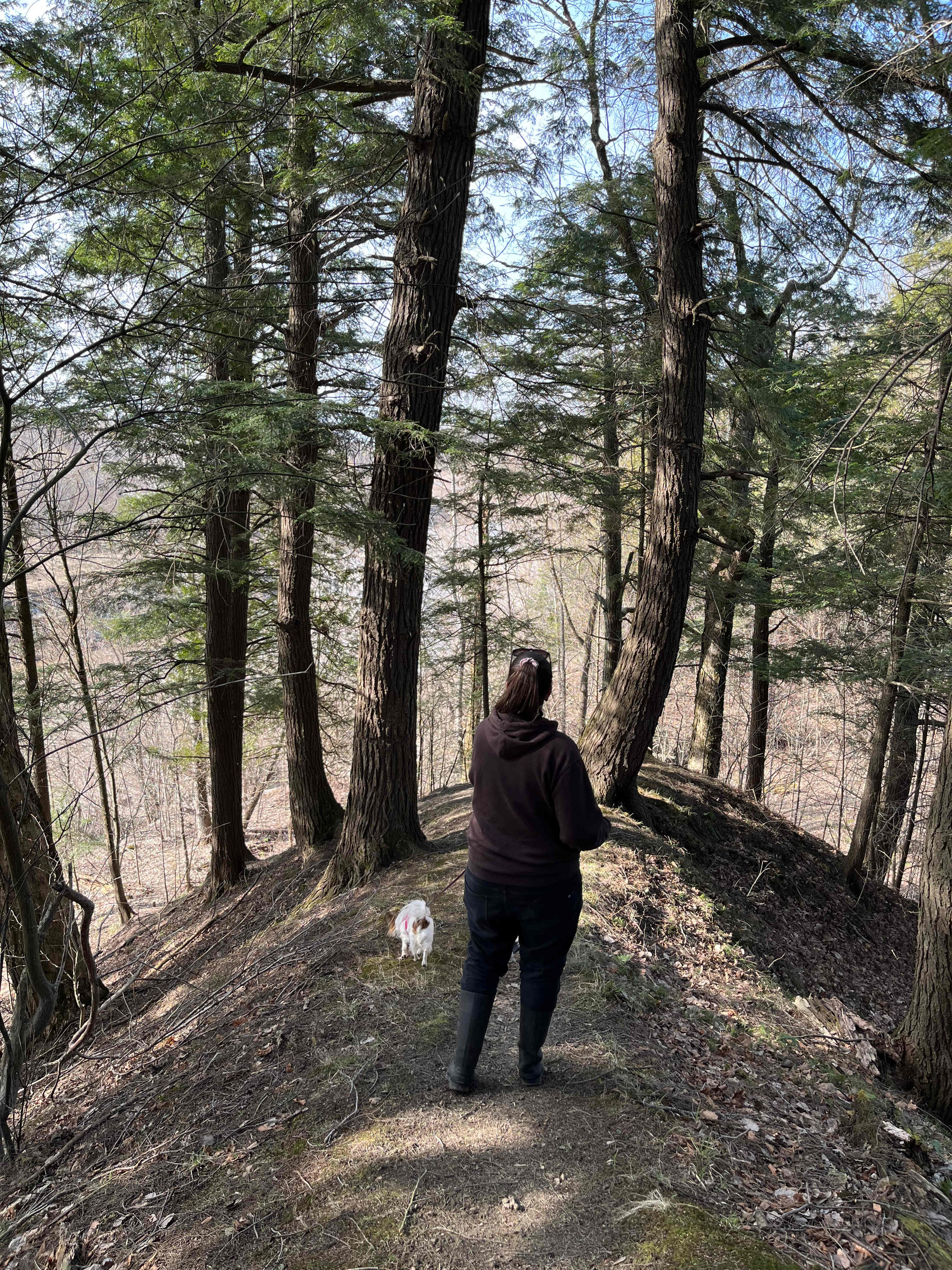 La Nation BedROCK 🤘 🏕️🔥🌲