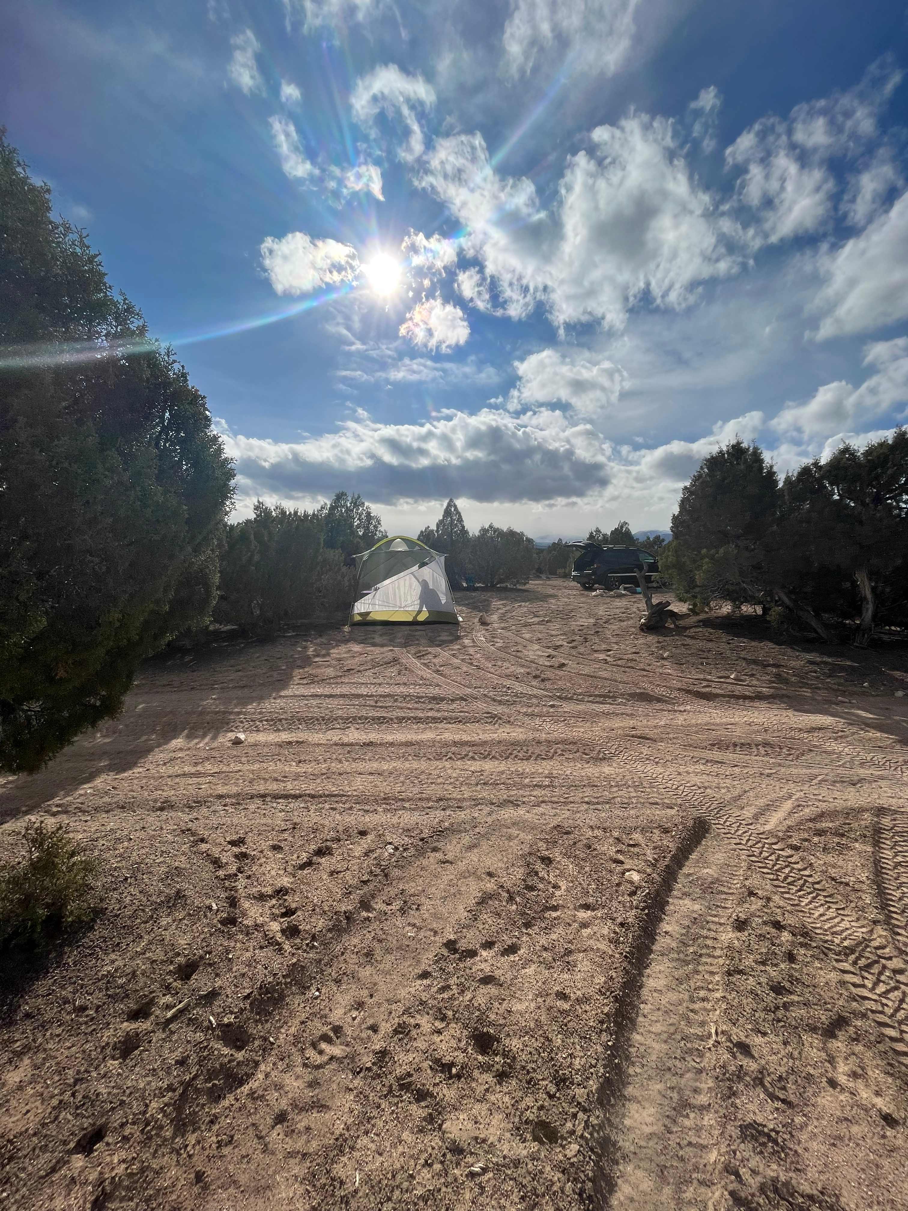 Picture of the site