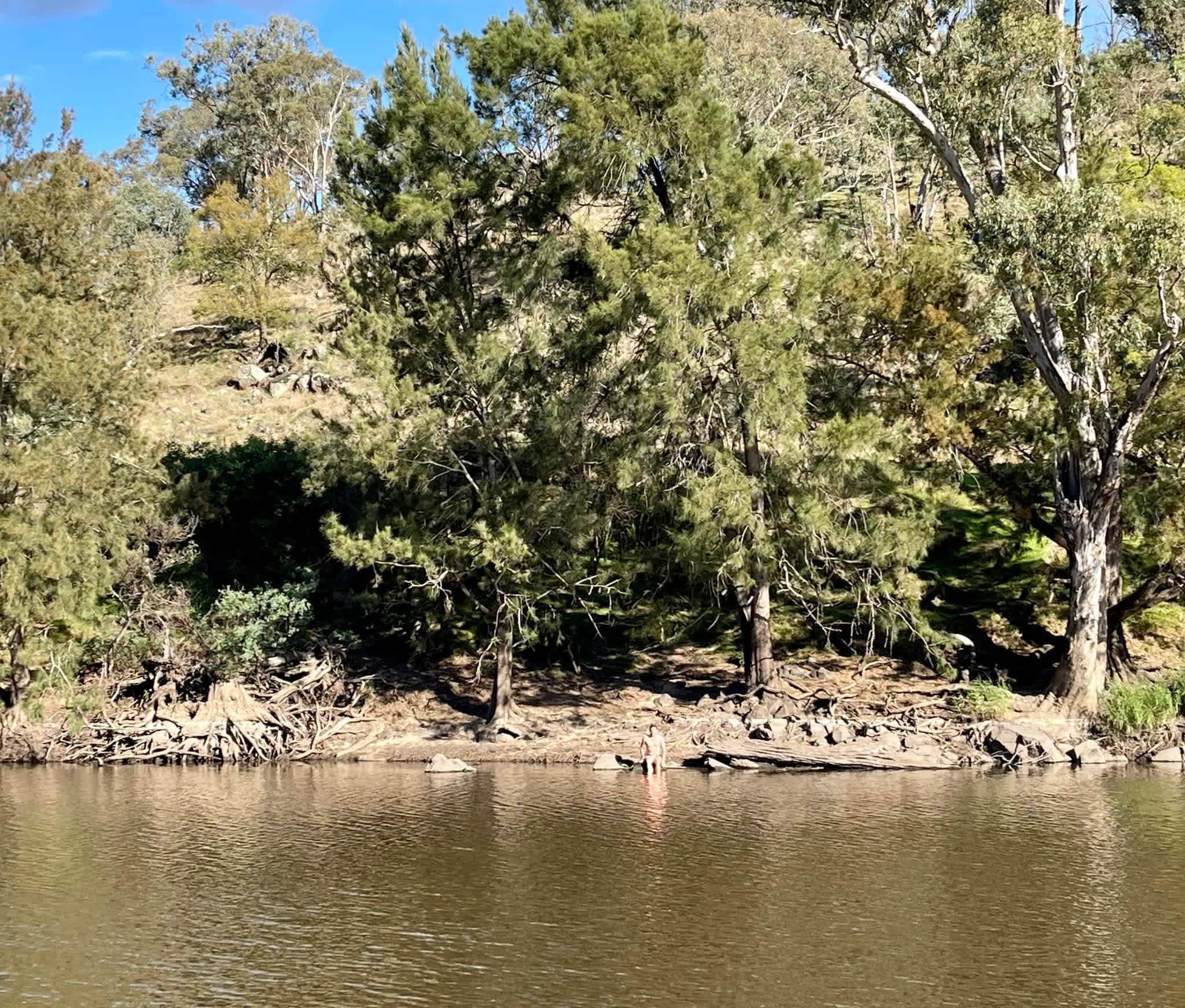 Jarabin on the Murrumbidgee