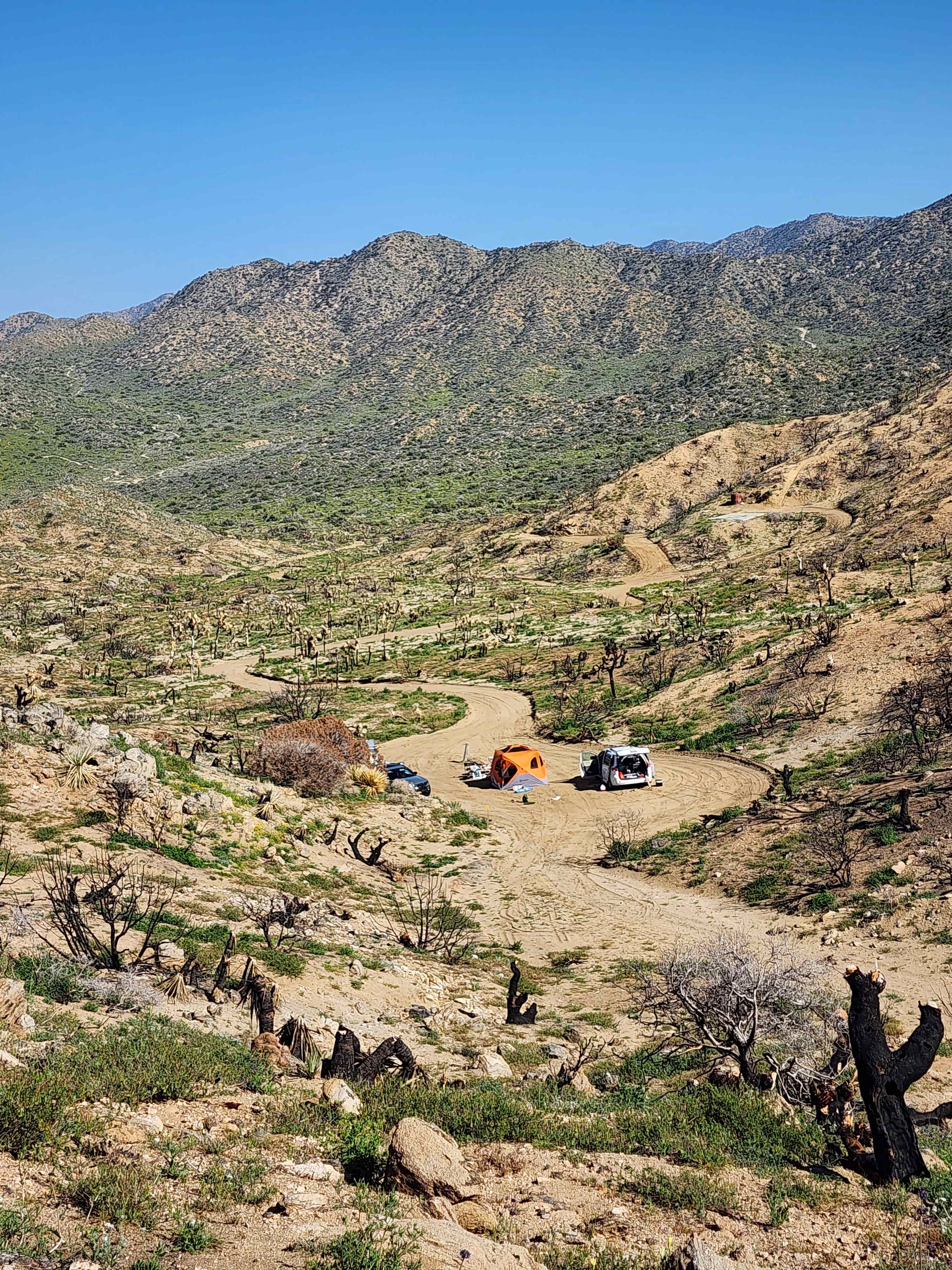 Tipi Canyon, Joshua Tree Nat’l Park