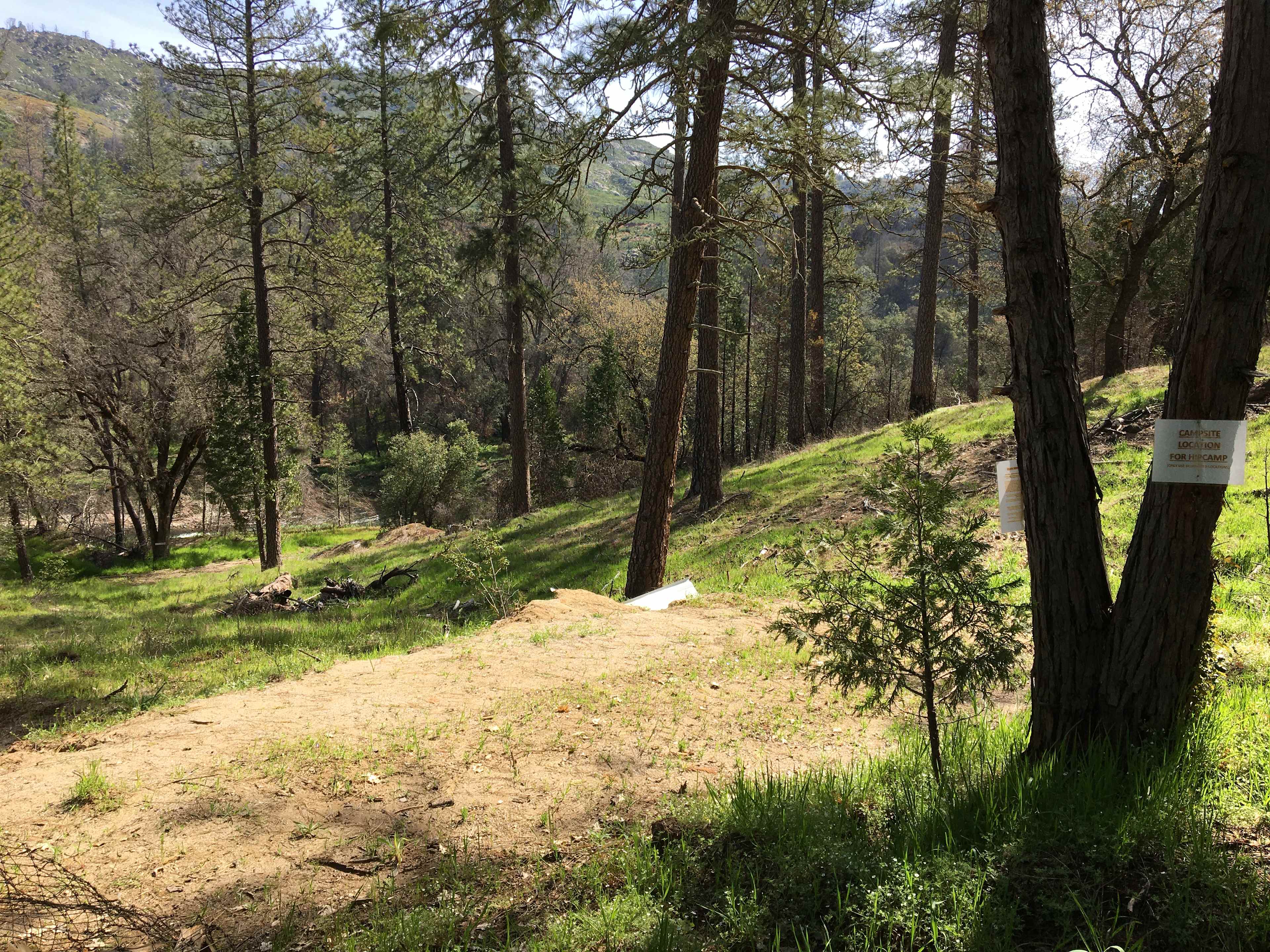 Picture of the site