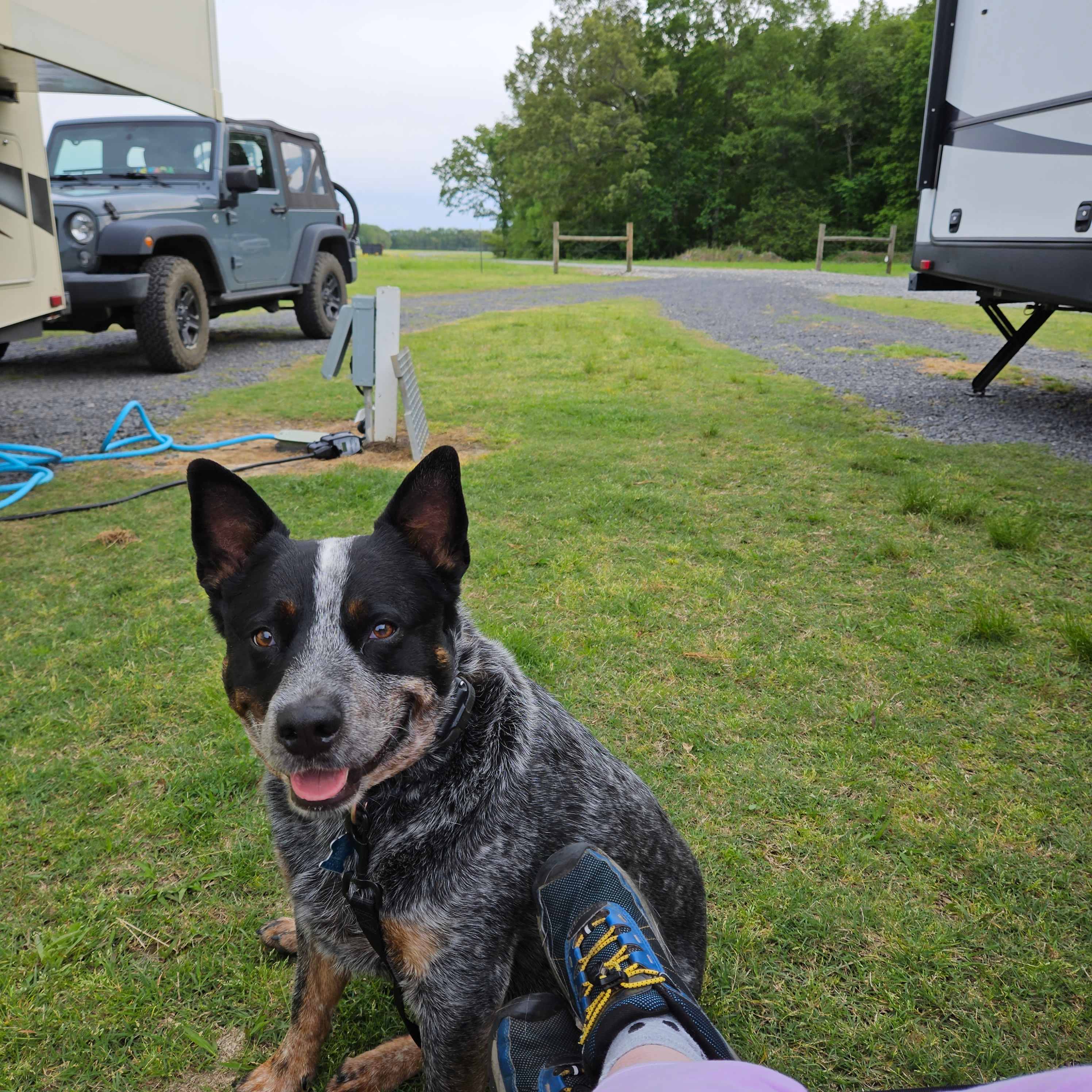 A quiet nights rest at H & G RV