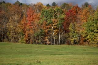 Camp Hart Campsite