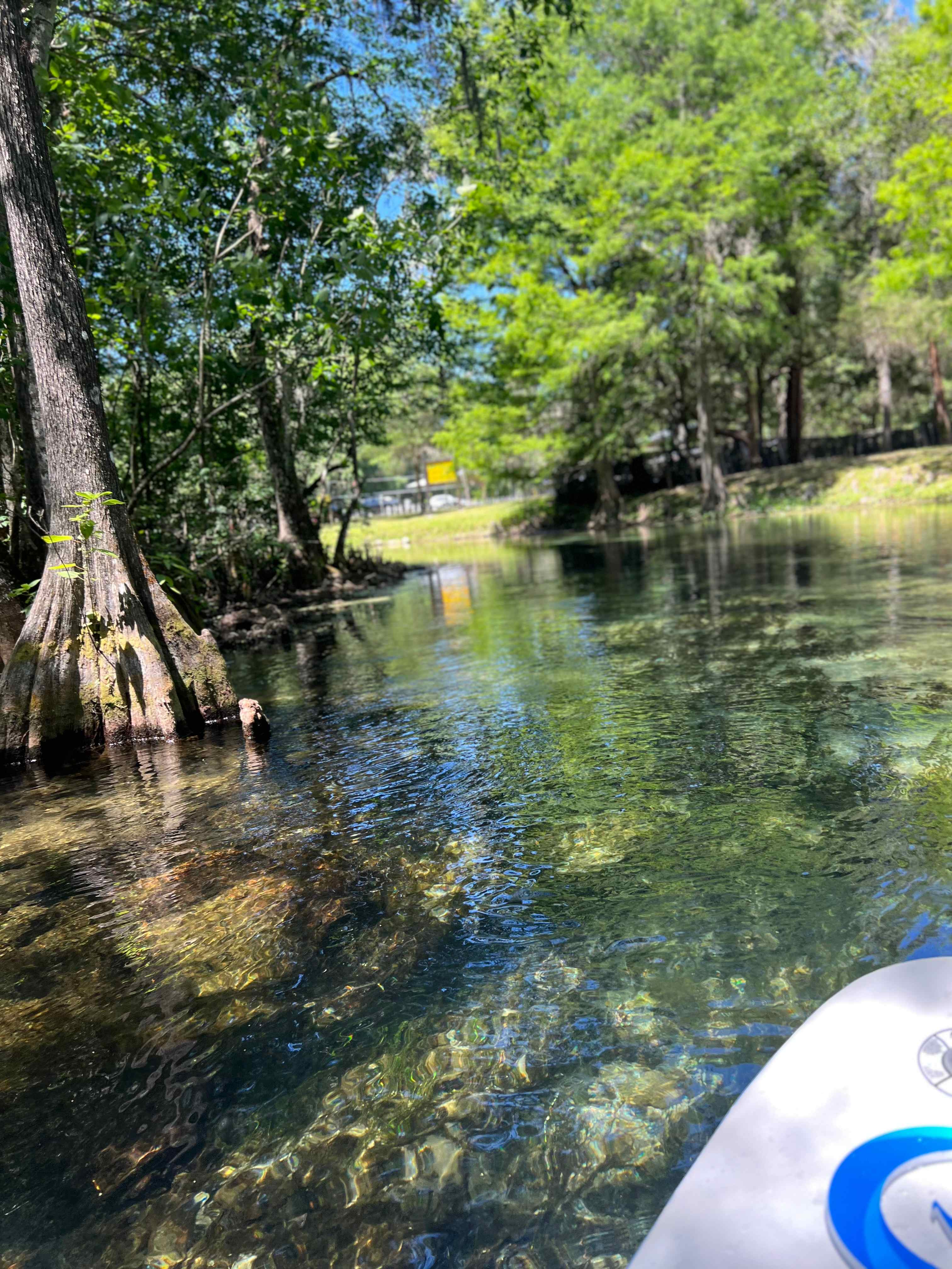 Slice of River Life