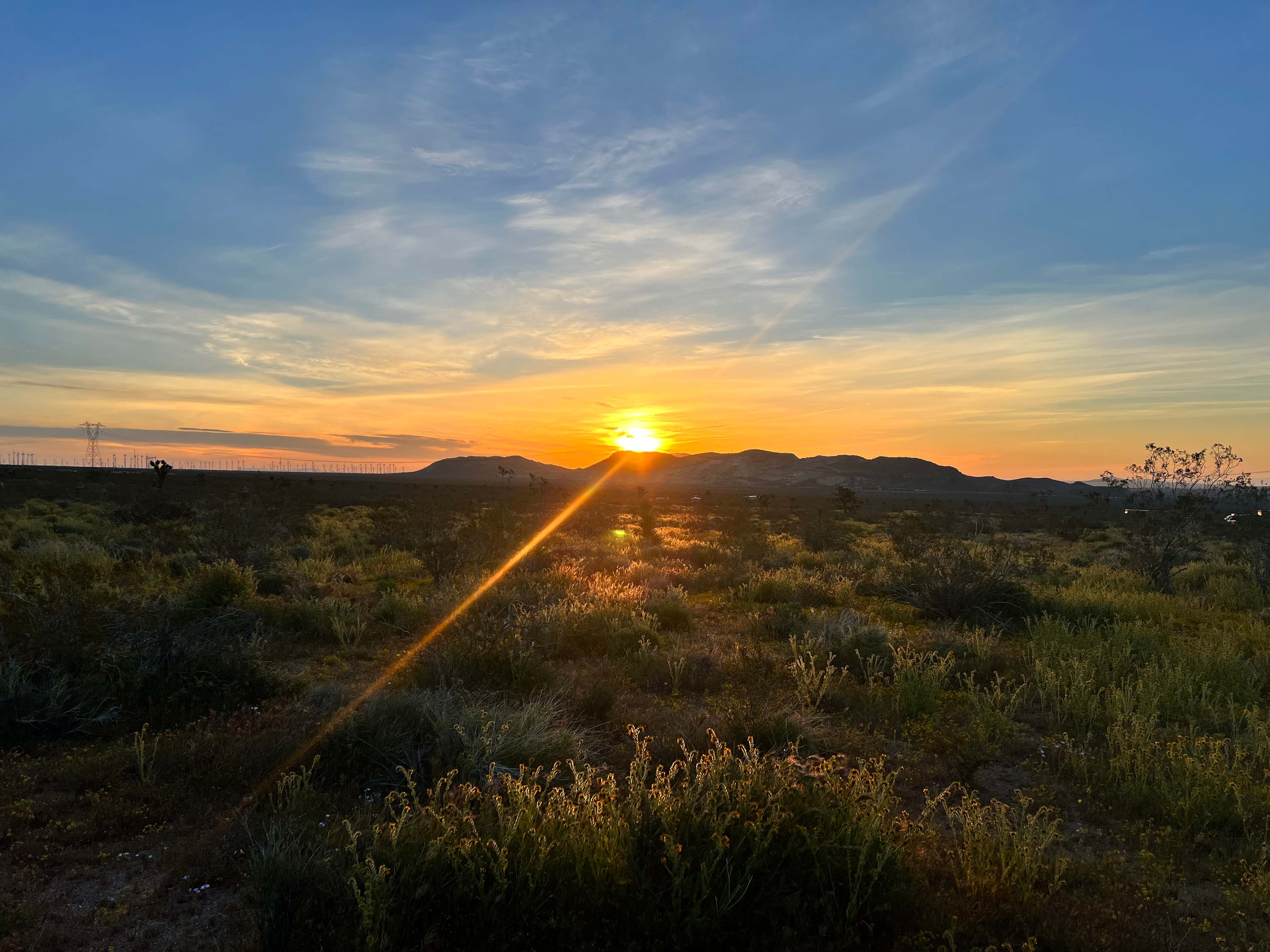 High Desert, Joshua Trees, & Views