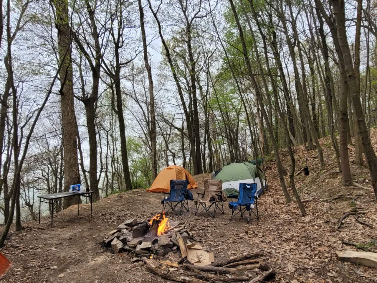 Picture of the site