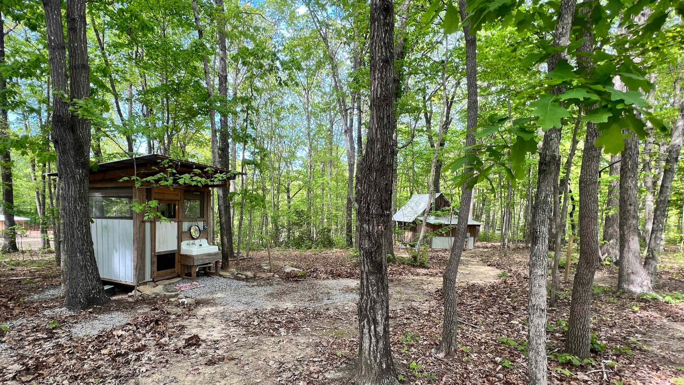 Cabin and Barn on 20 Peaceful Acres