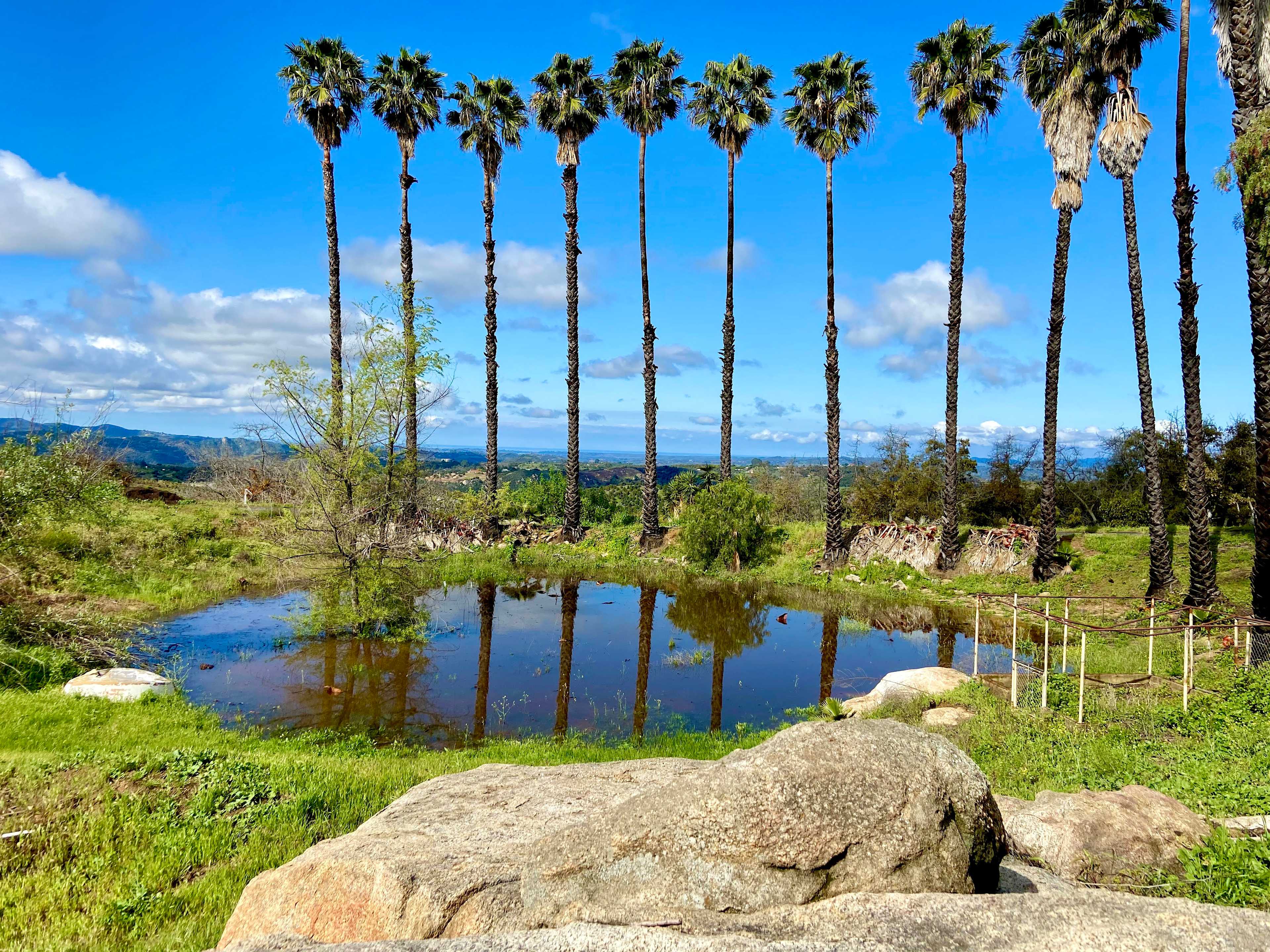 Elysian Groves